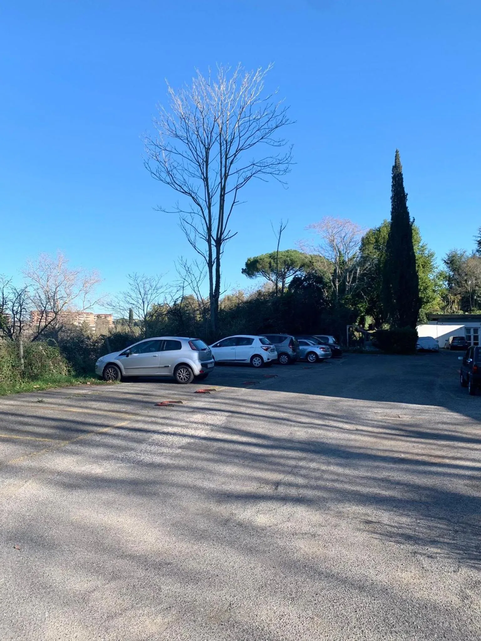 Day in Aurelia House Garden