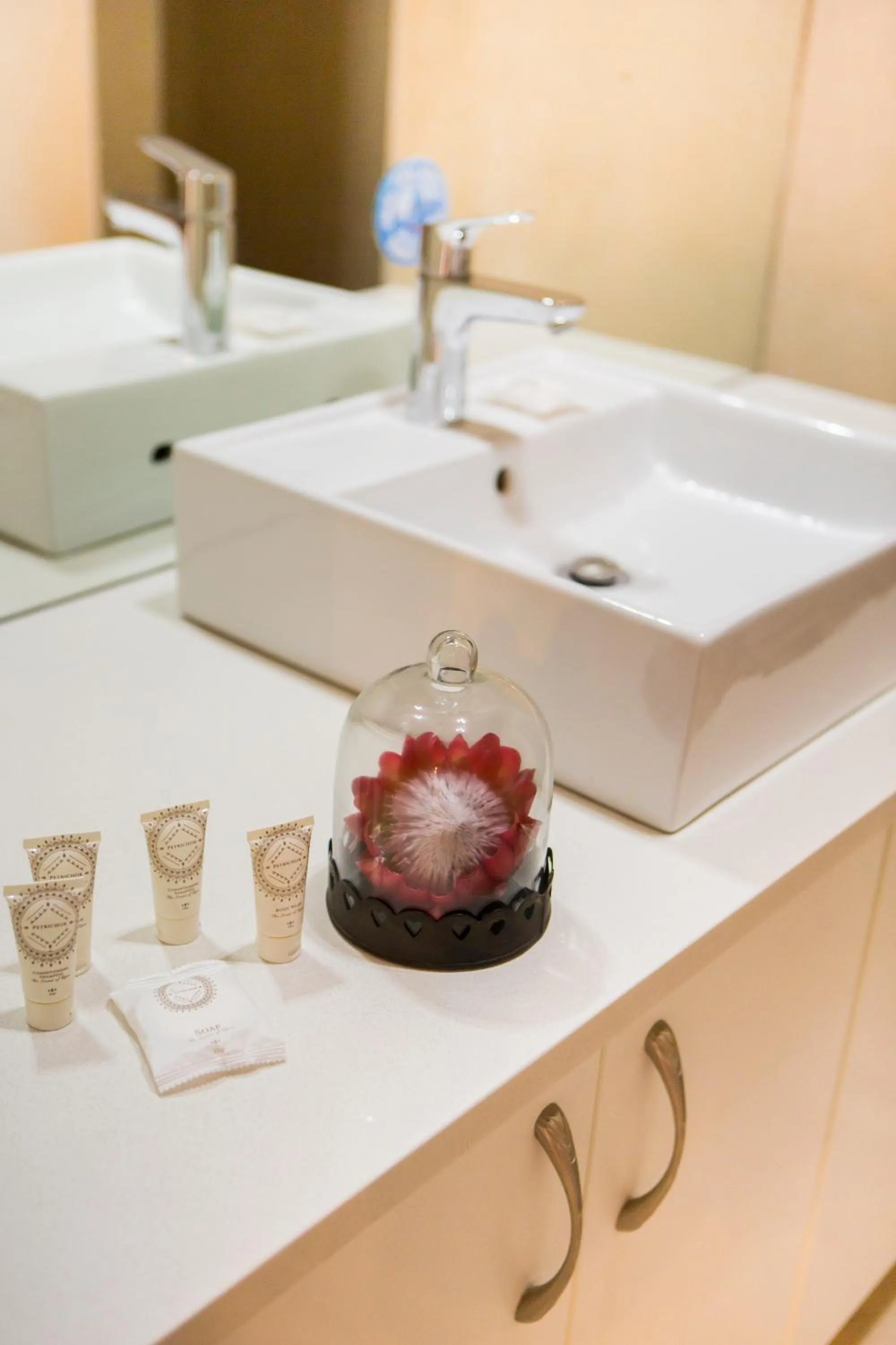 Skilpadvlei Wine Farm