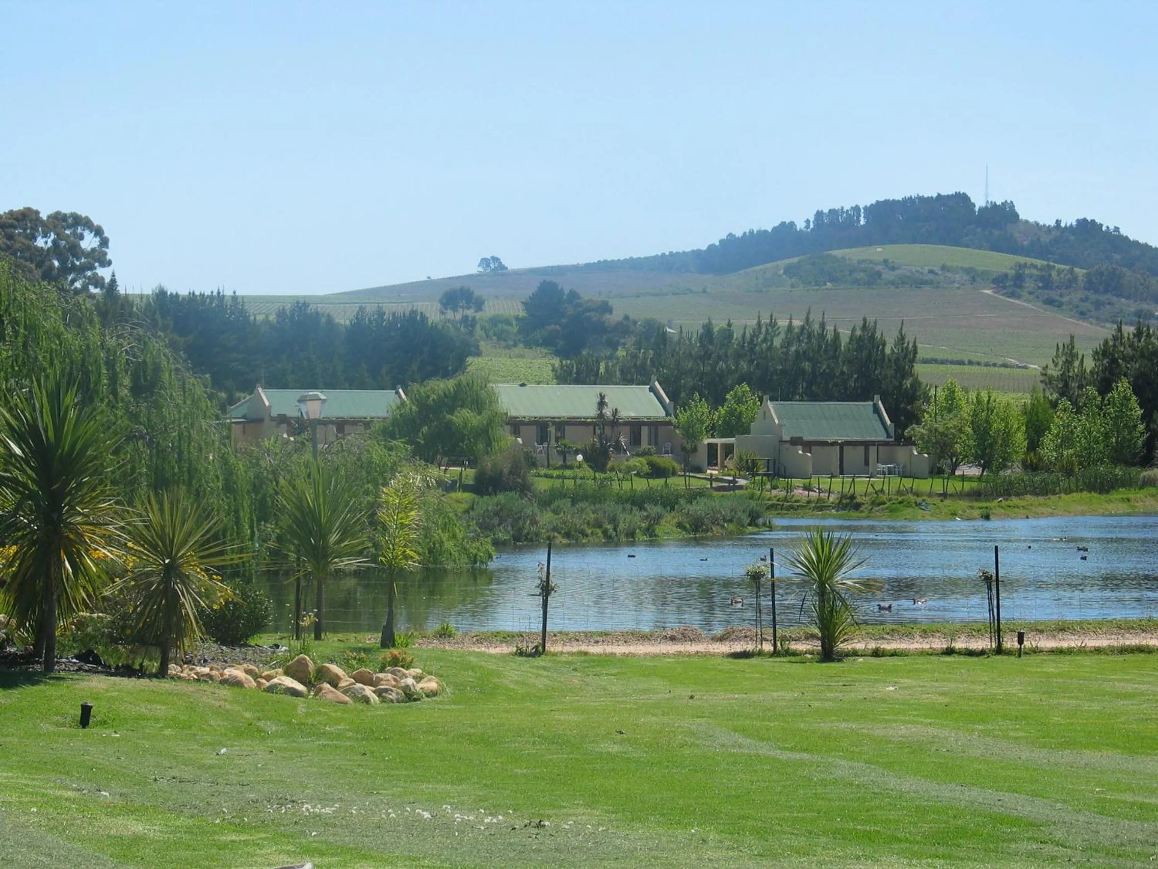 Lake view in Skilpadvlei Wine Farm