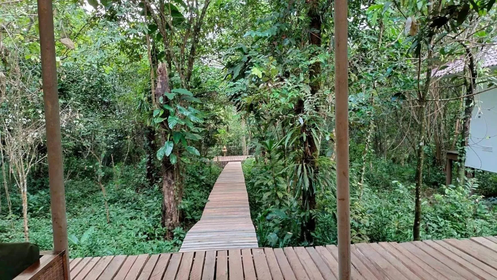 Natural landscape in Rainbow Lodge
