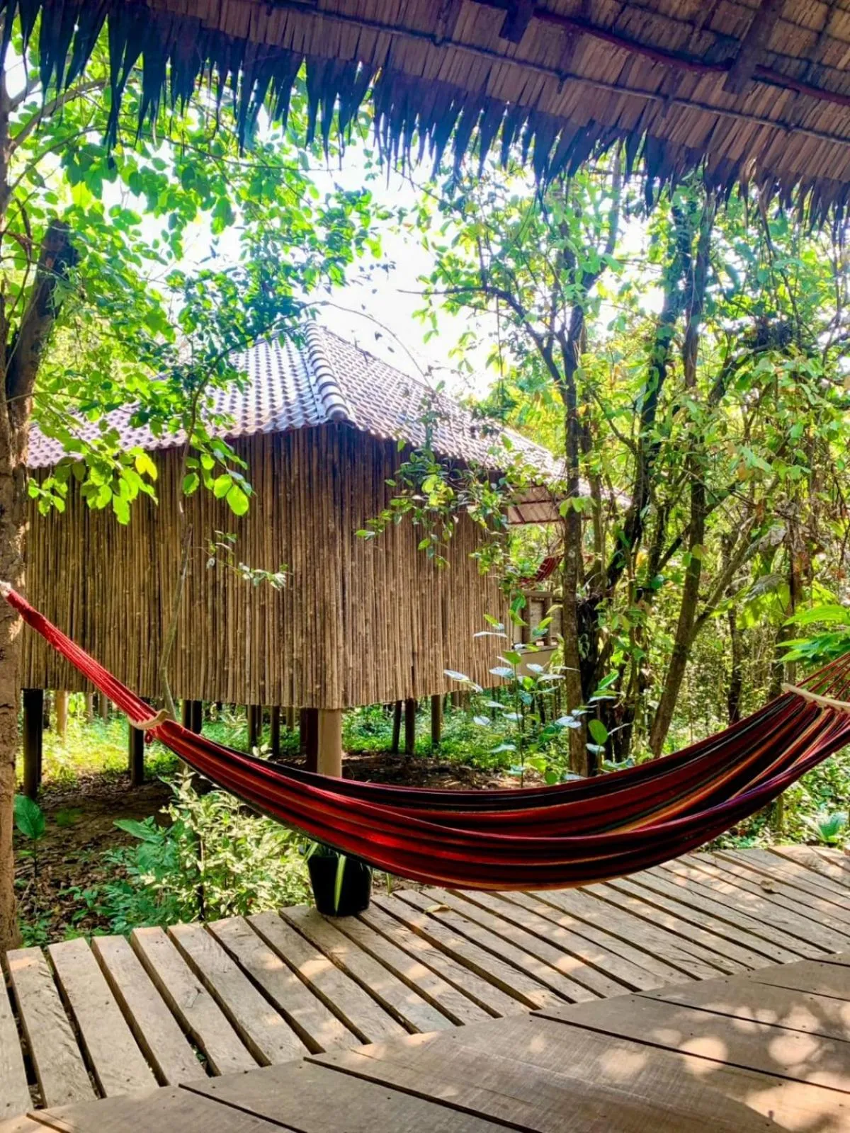 Garden view in Rainbow Lodge
