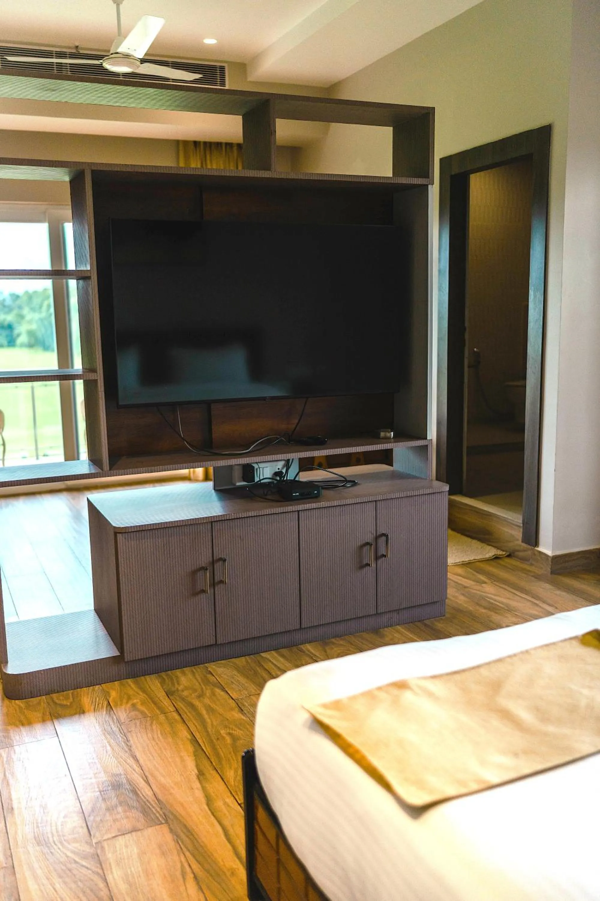 TV and multimedia in Finn's Weaver Resort, Kaziranga