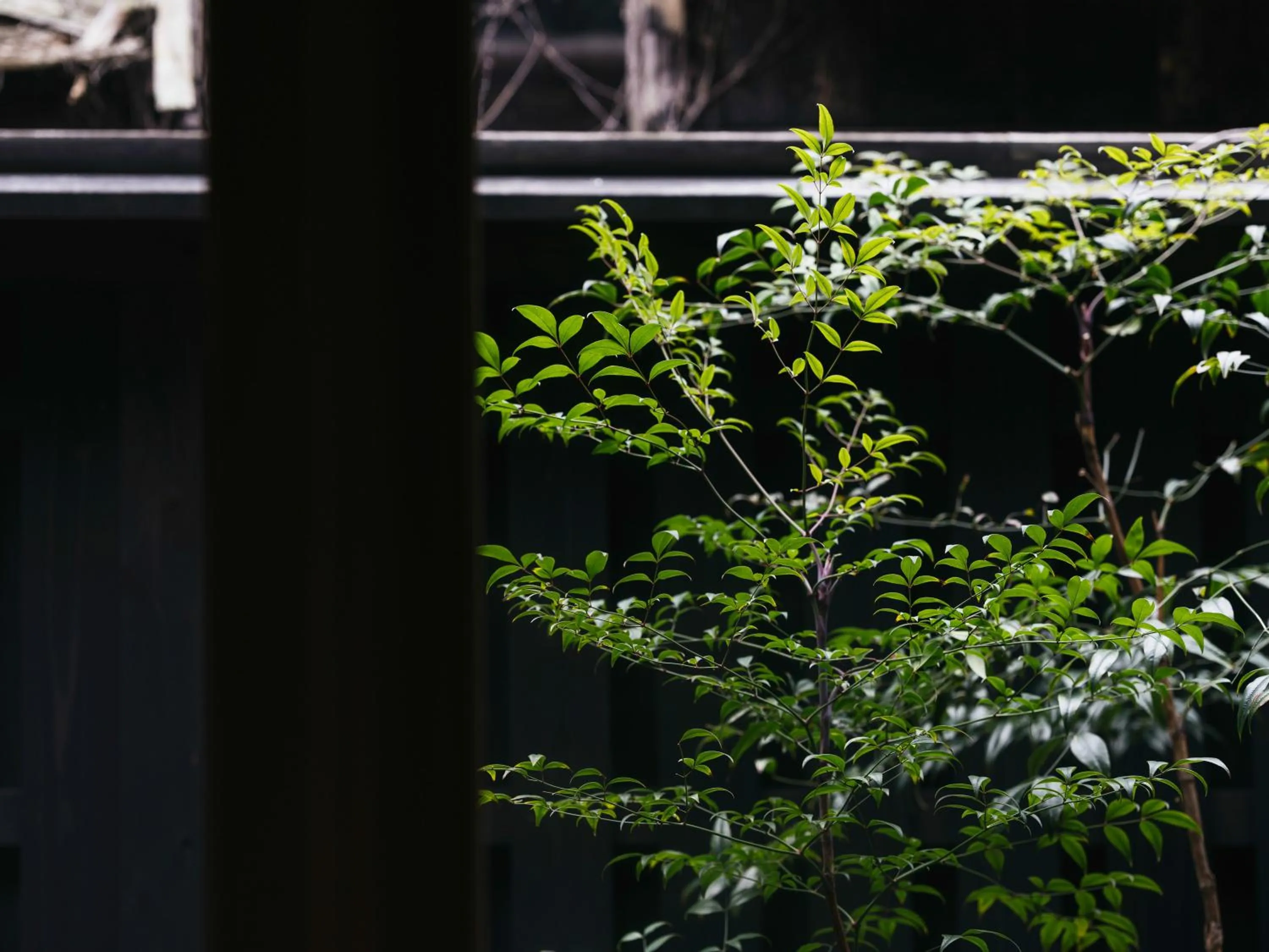 Property building in RITA Izumo Sagiura