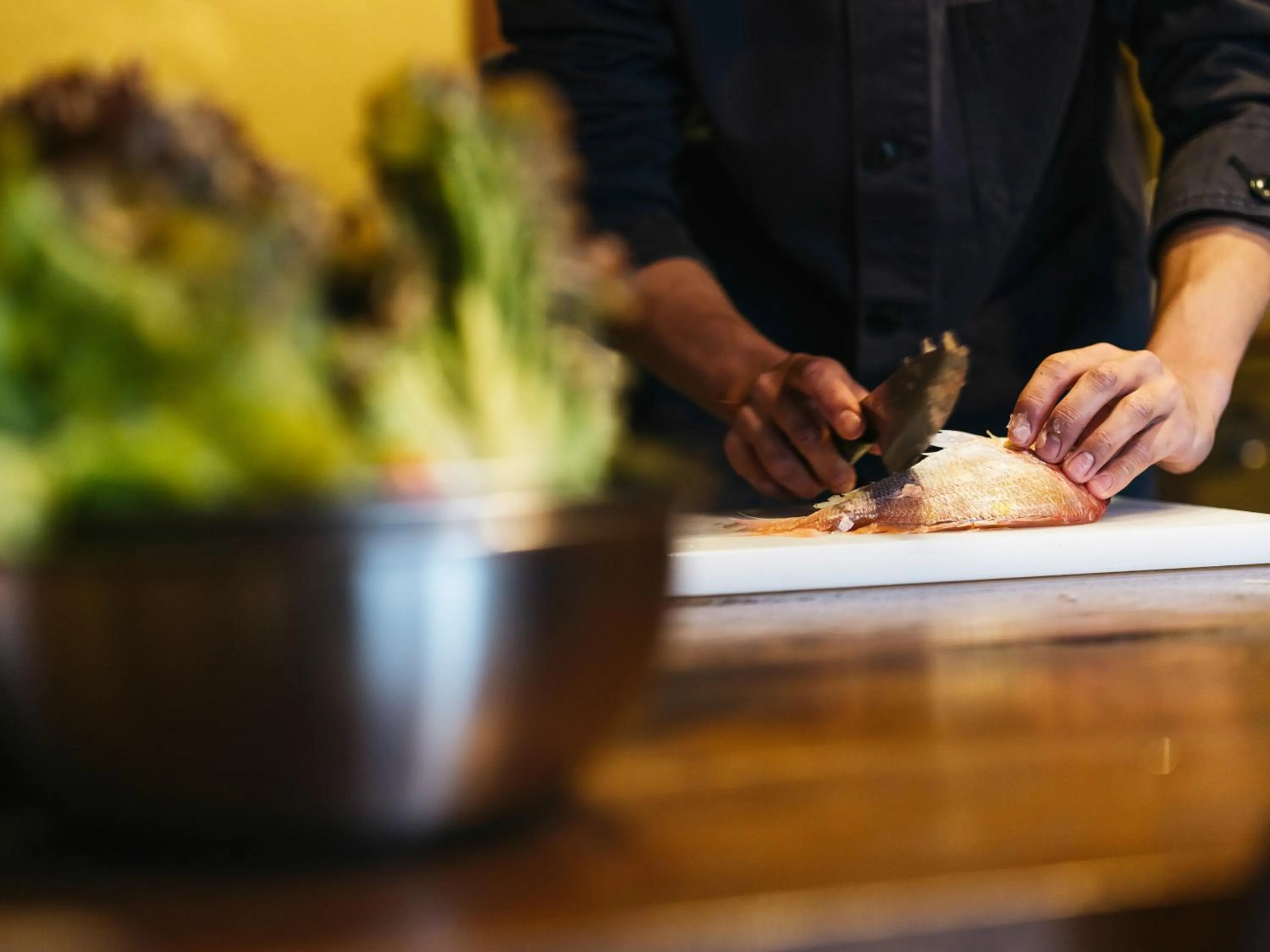 Food in RITA Izumo Sagiura