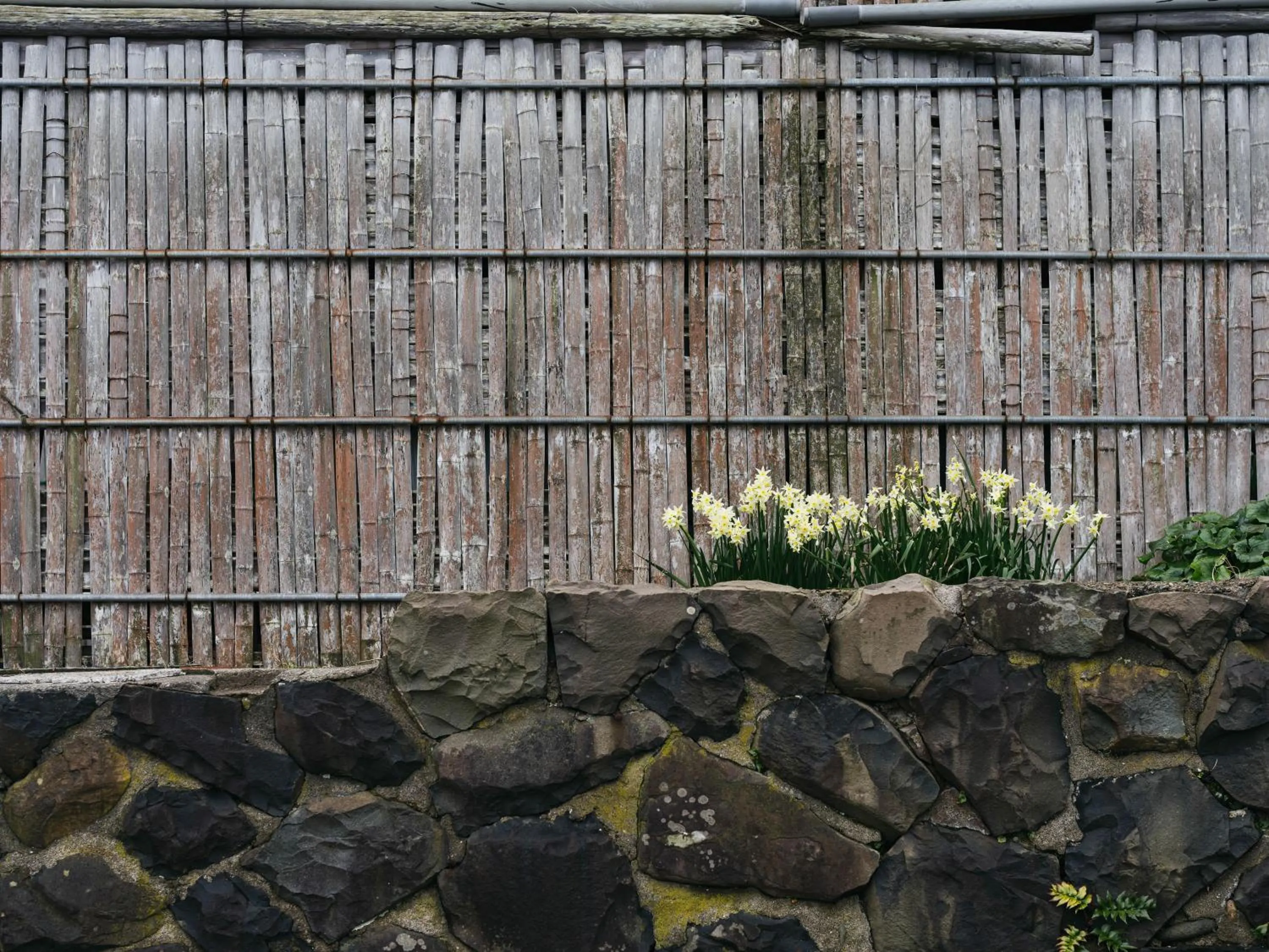 Other in RITA Izumo Sagiura