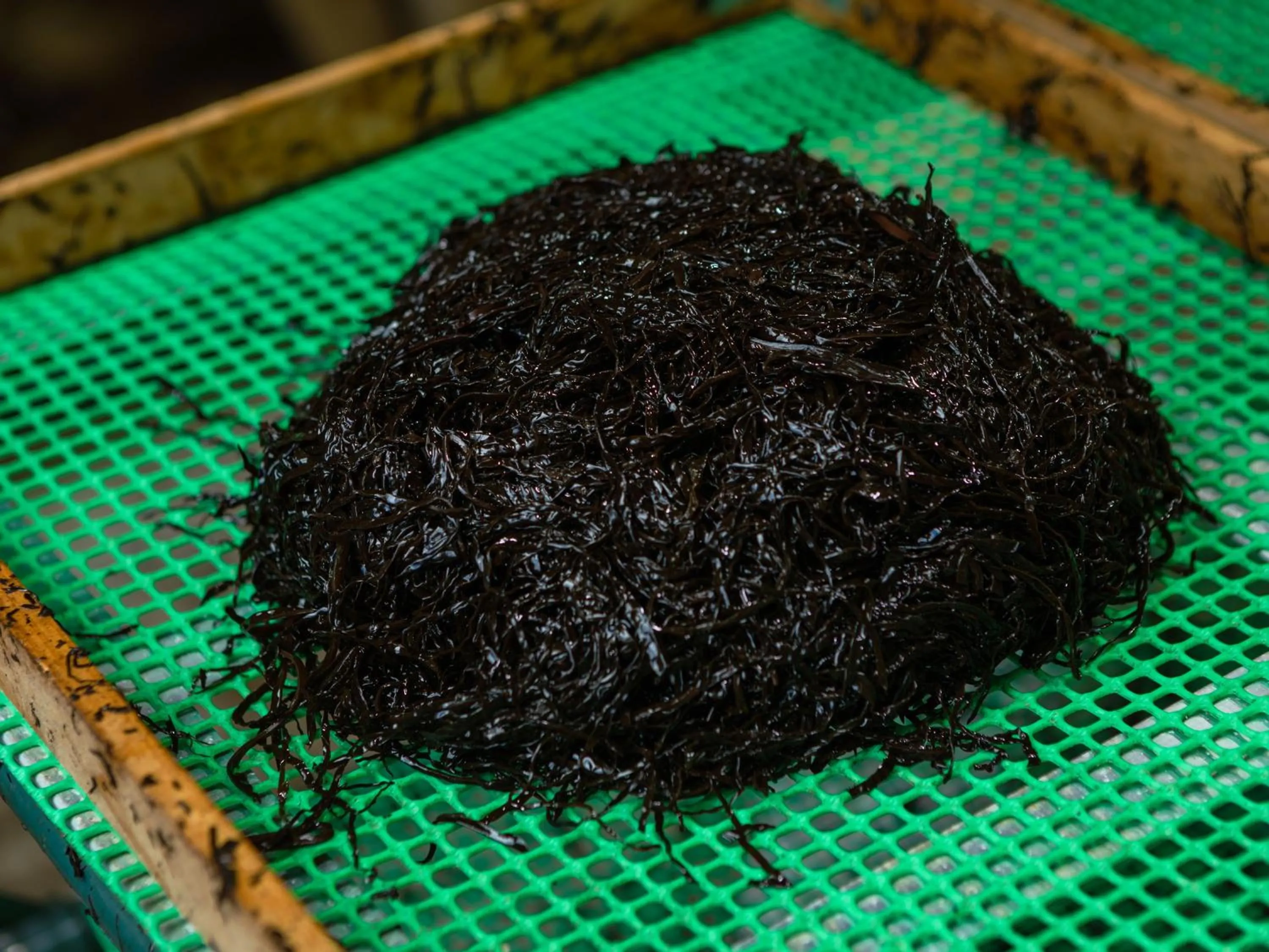 Off site in RITA Izumo Sagiura