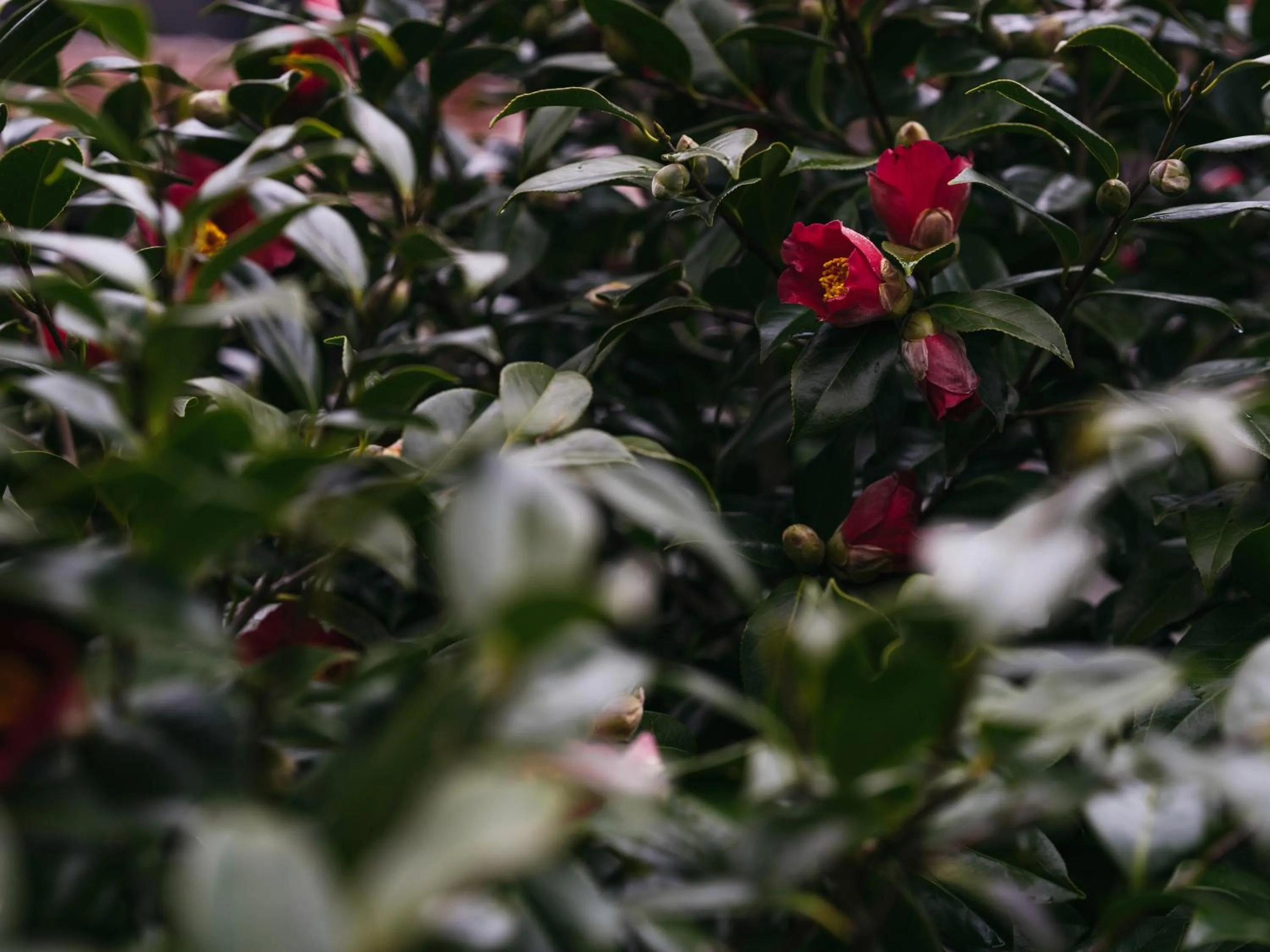 Other in RITA Izumo Sagiura