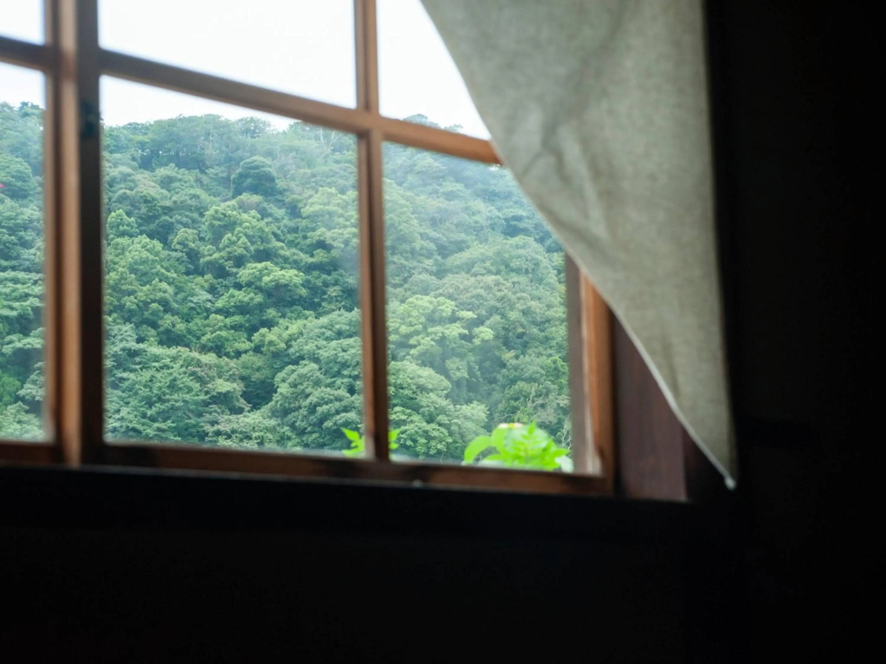 Photo of the whole room in RITA Izumo Sagiura