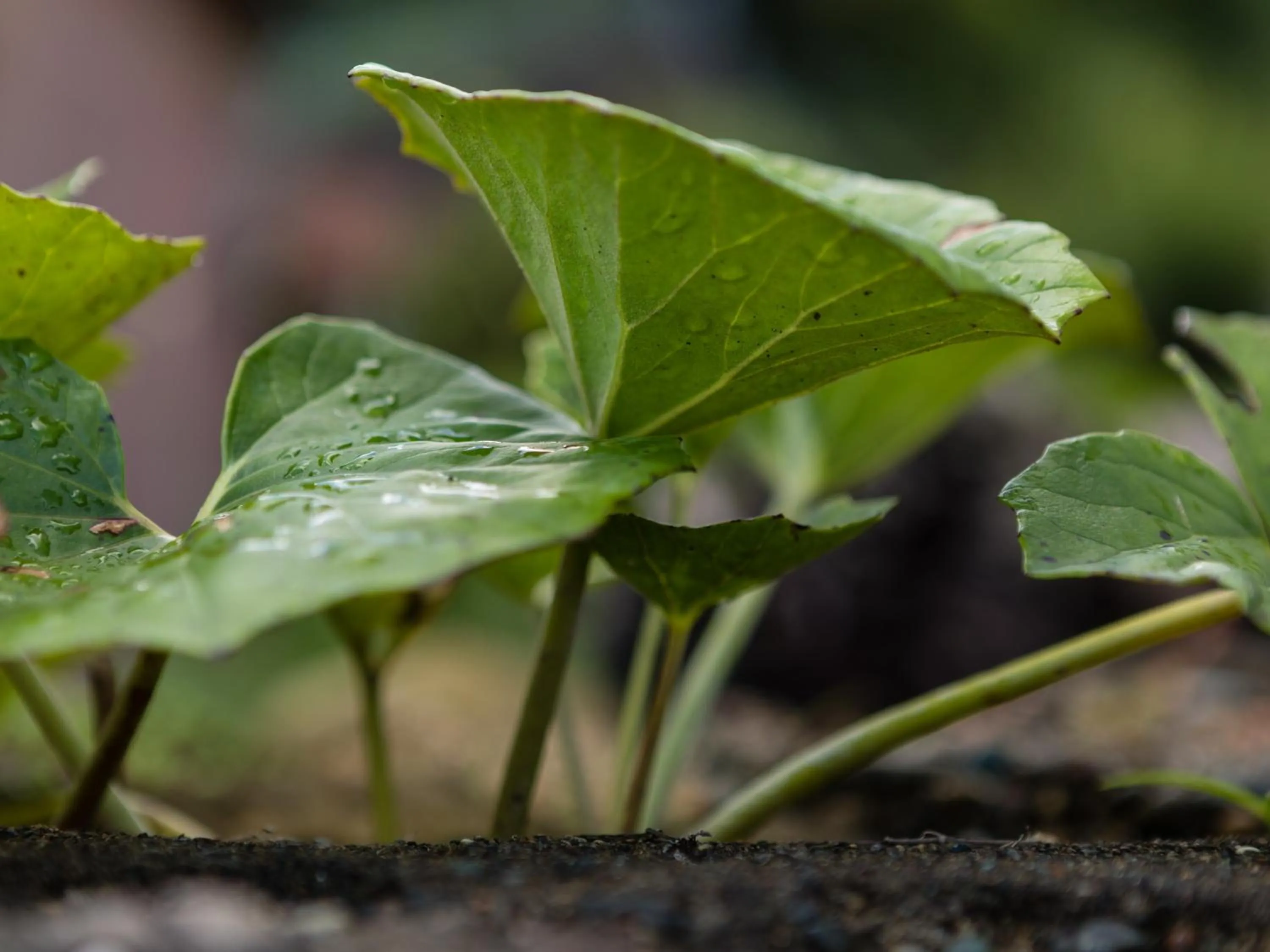 Off site in RITA Izumo Sagiura