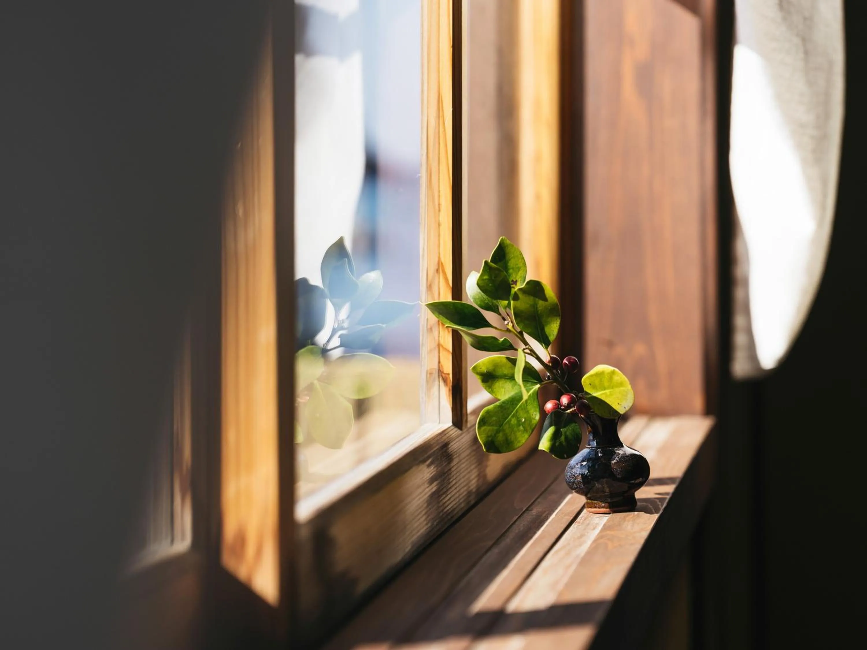 Photo of the whole room in RITA Izumo Sagiura