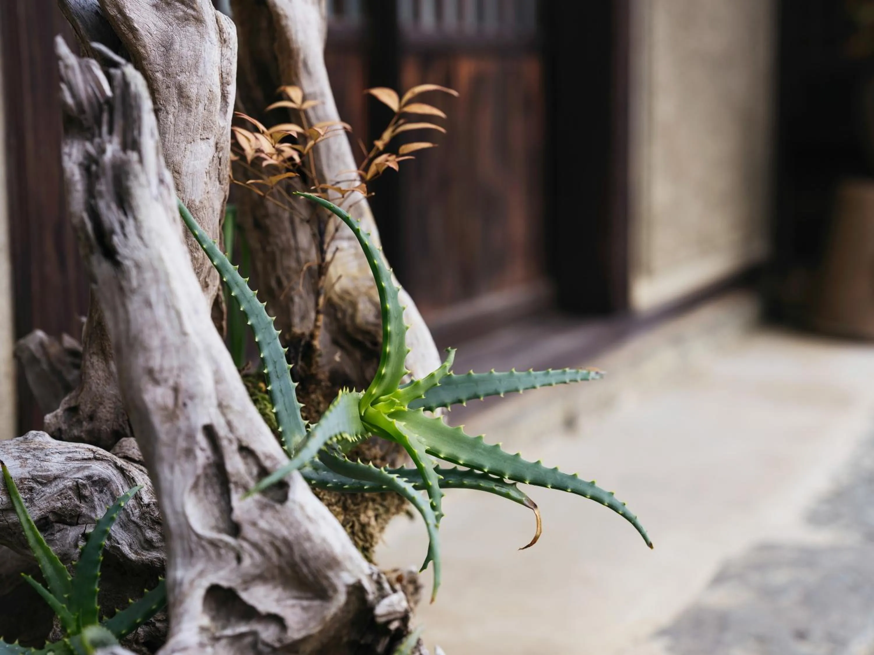 Property building in RITA Izumo Sagiura