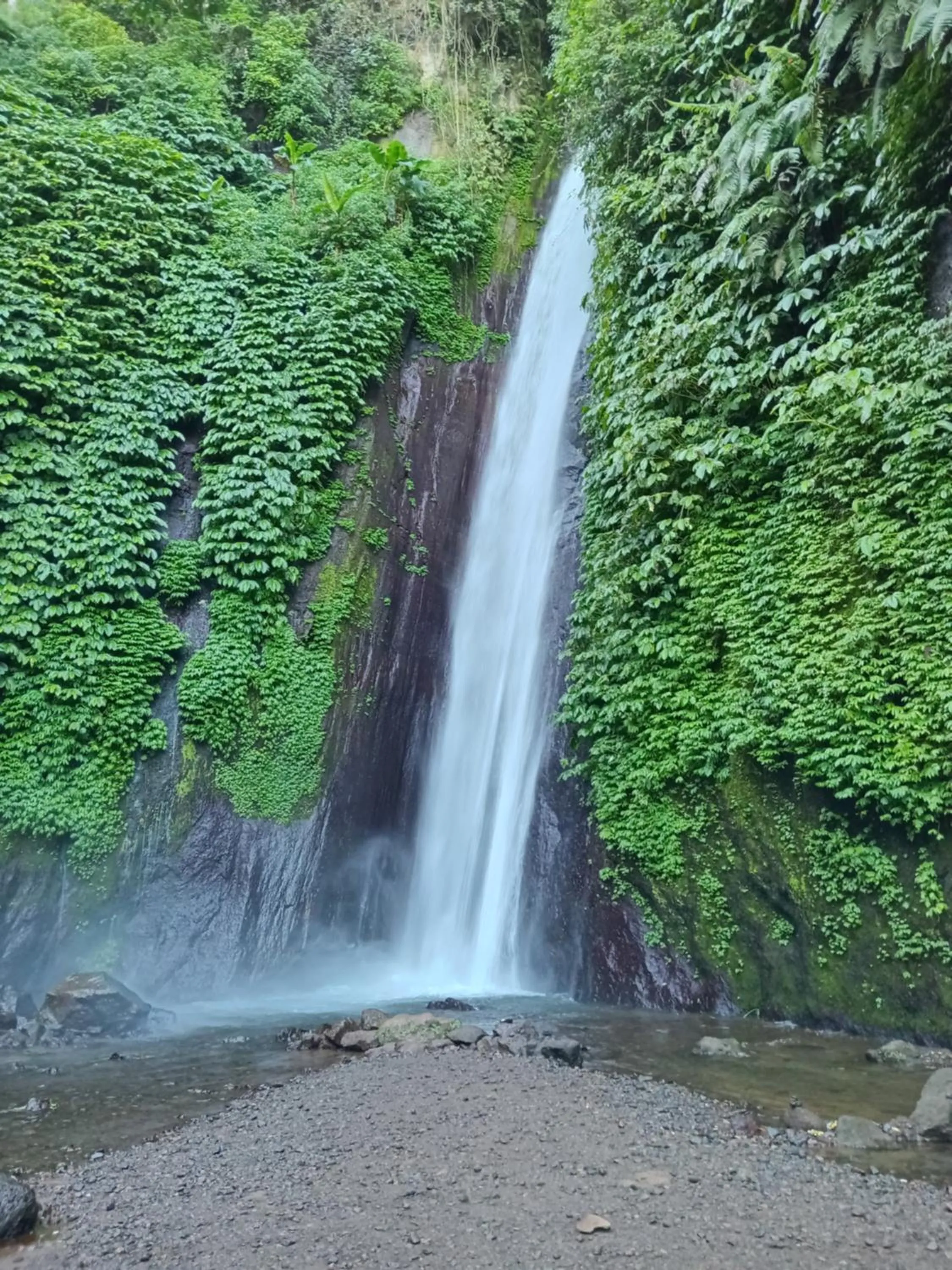 Activities in Camaradvipa Retreat Munduk