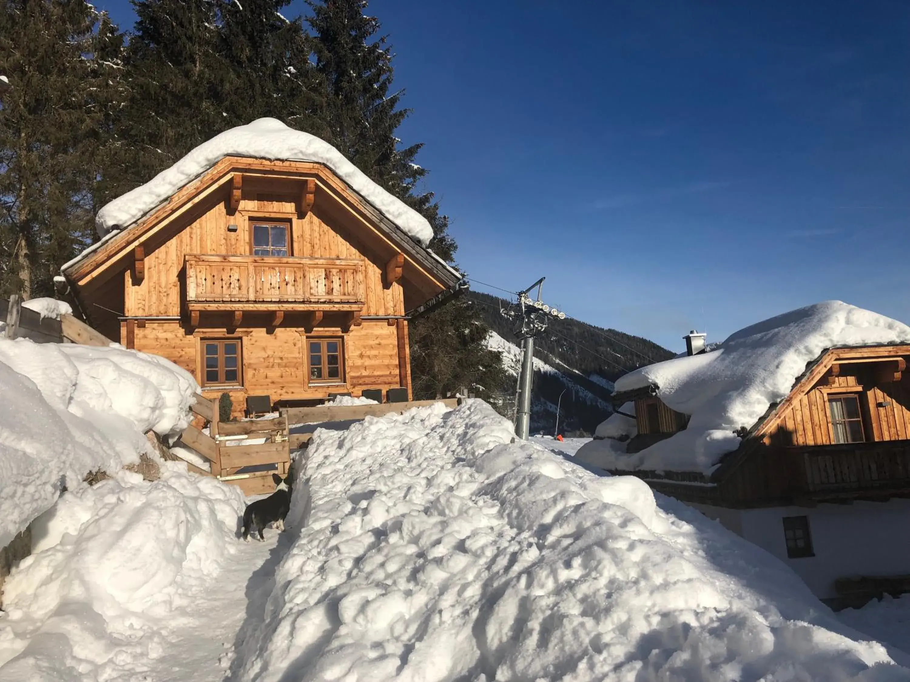 Bergdorf Riesner Bergdorf Riesner