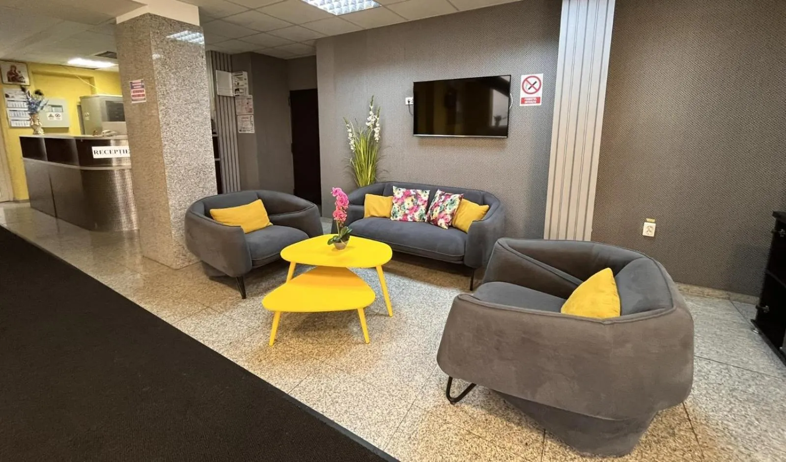 Communal lounge/ TV room in Pensiunea Nys