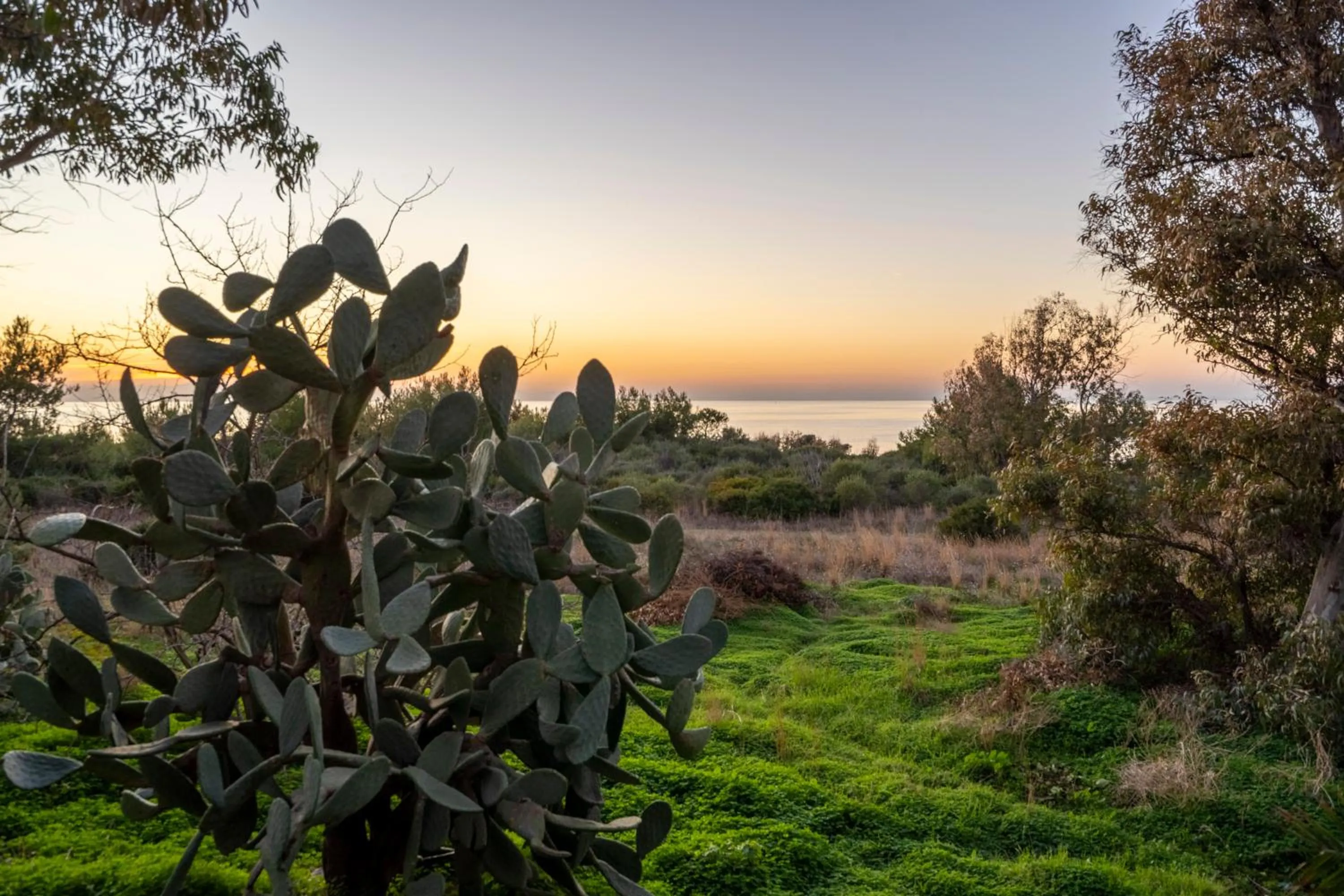Natural landscape in GuestHost - Villa Torre Leporano a due passi dal mare