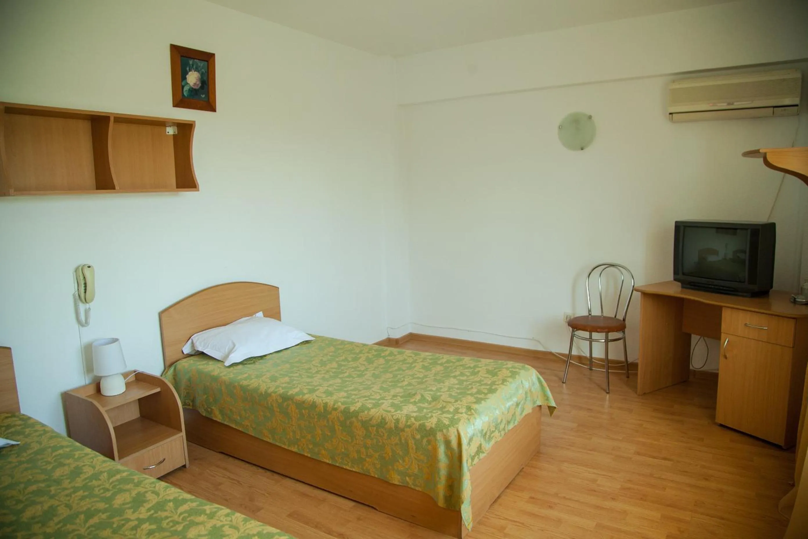 Twin Room - single occupancy in Hotel Vlasca