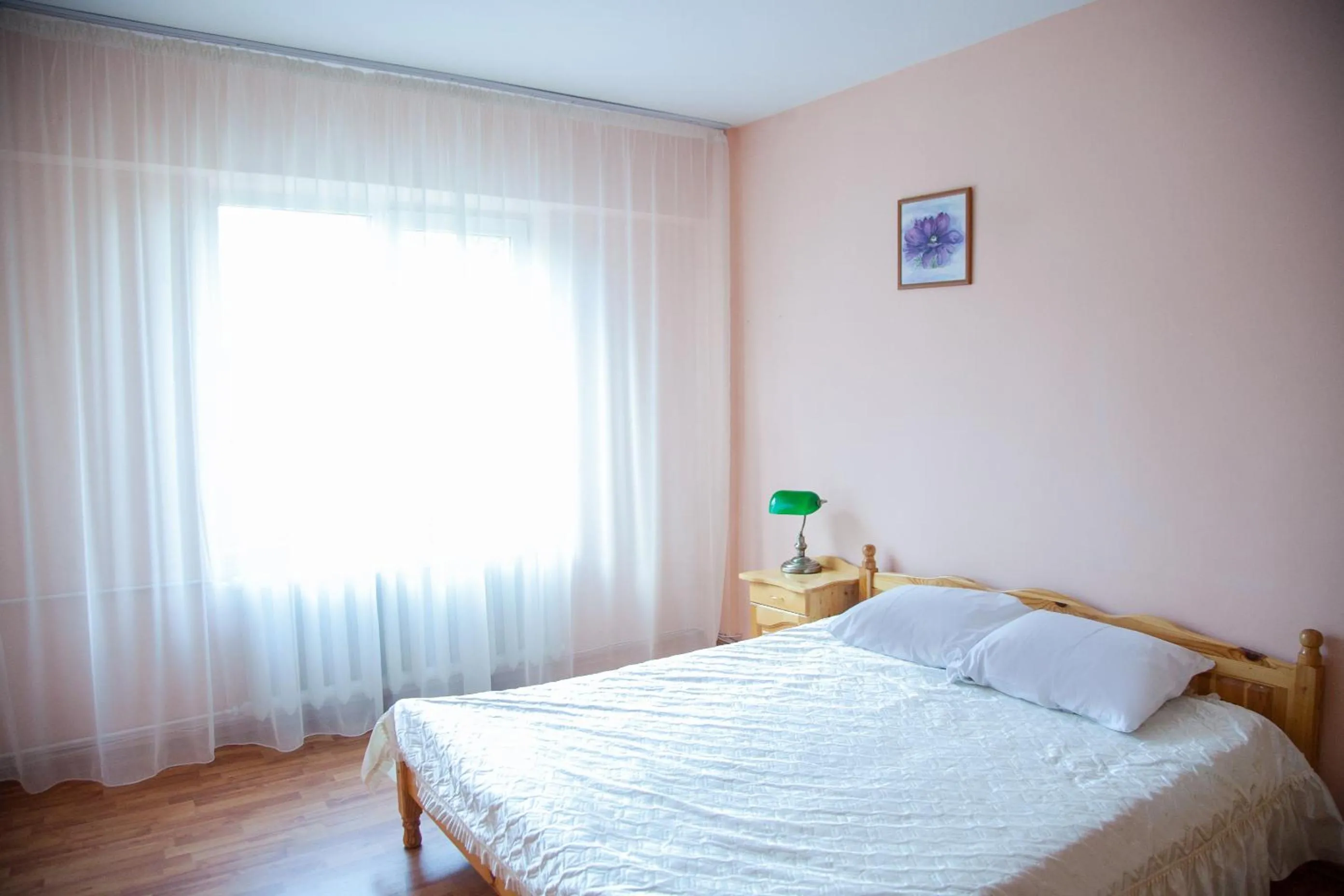 Hotel Vlasca