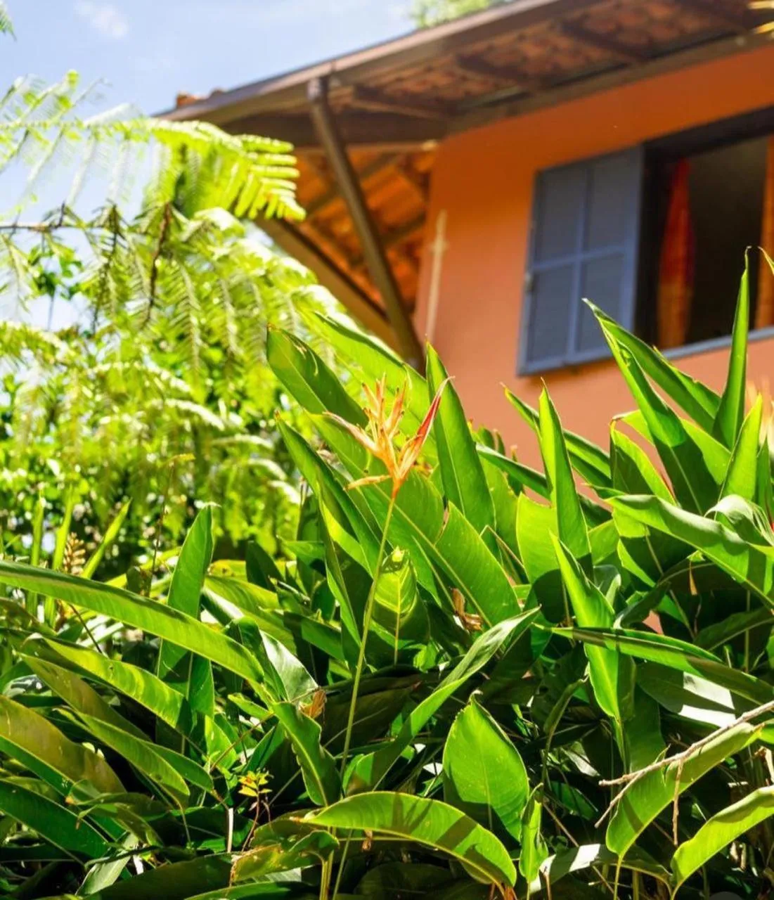 Property building in Sítio Flor das Águas