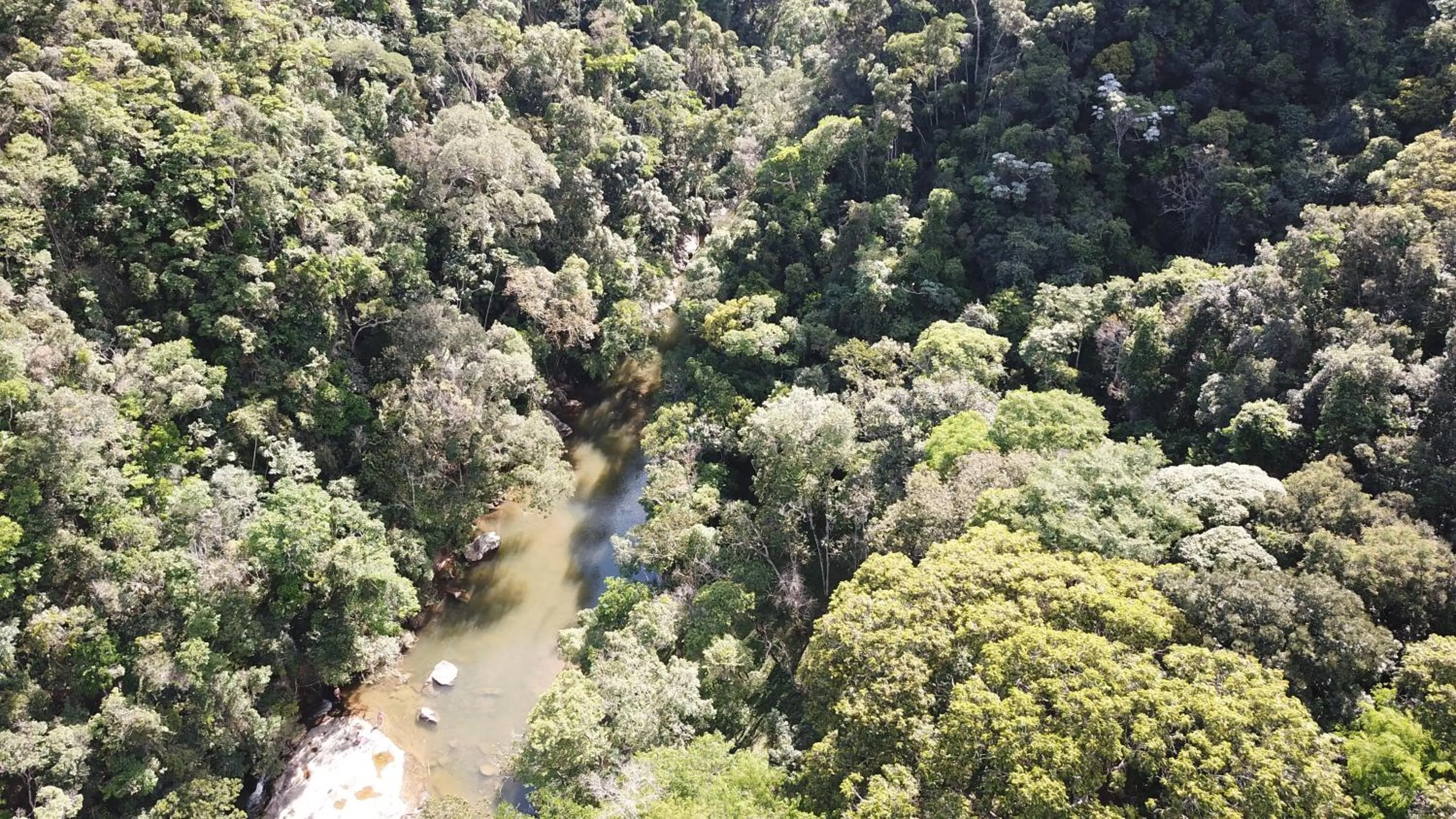 Bird's eye view in Sítio Flor das Águas