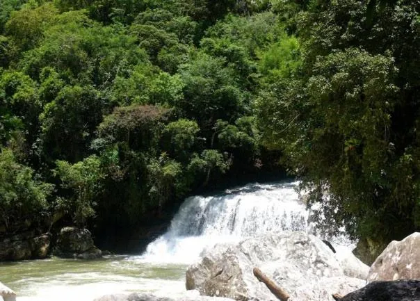 Activities in Sítio Flor das Águas