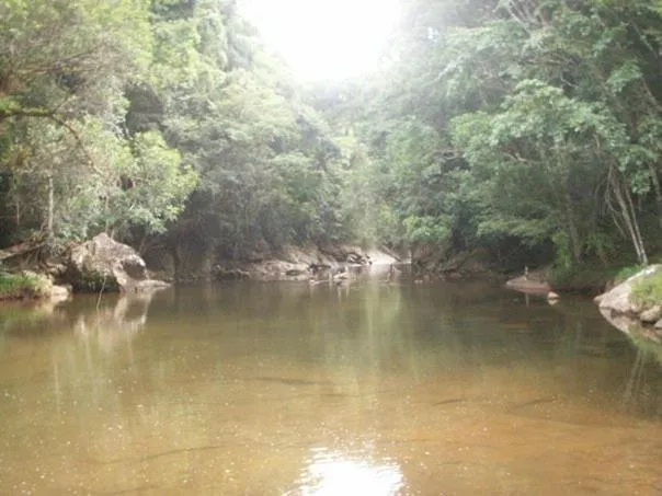 On site in Sítio Flor das Águas
