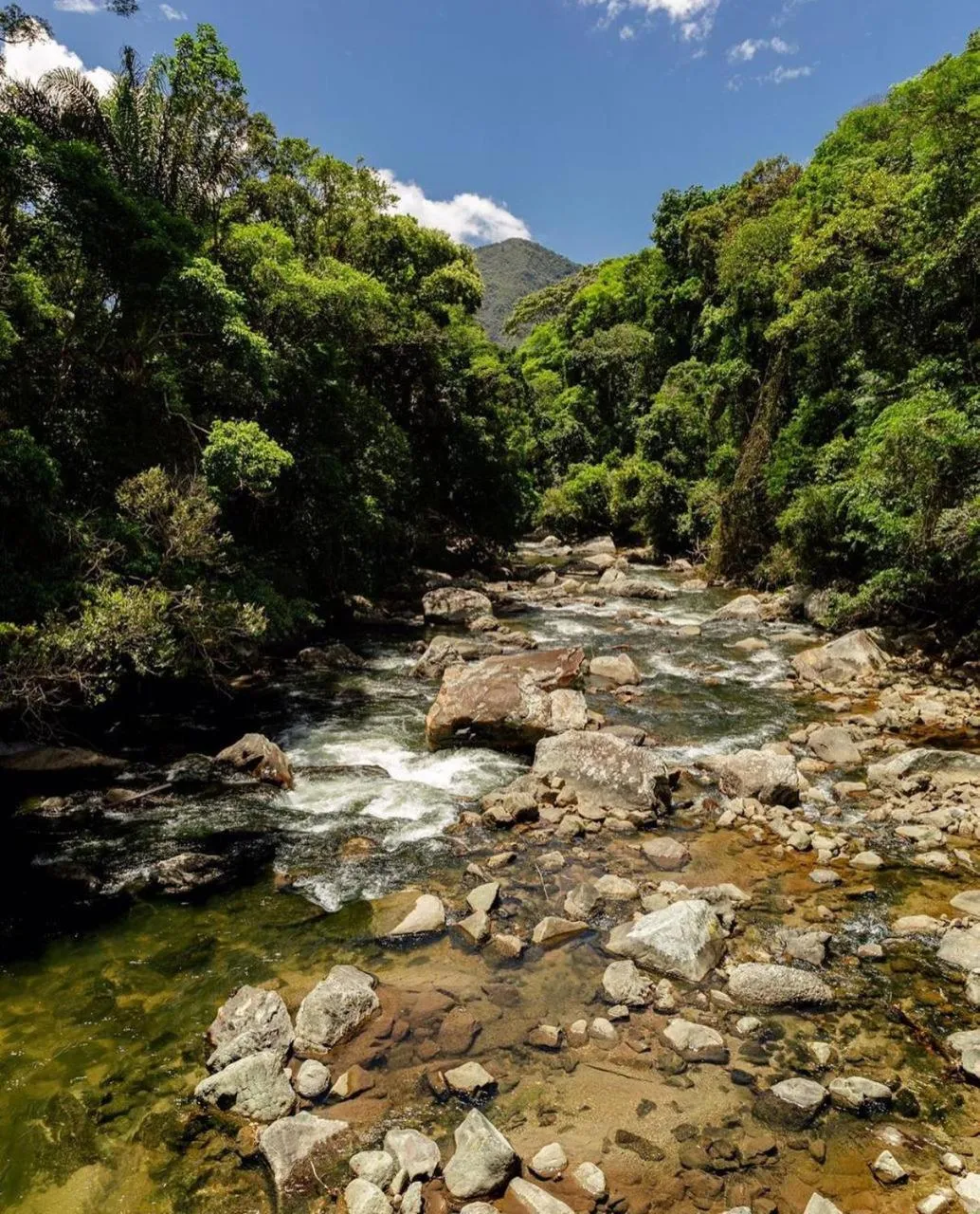 River view in Sítio Flor das Águas