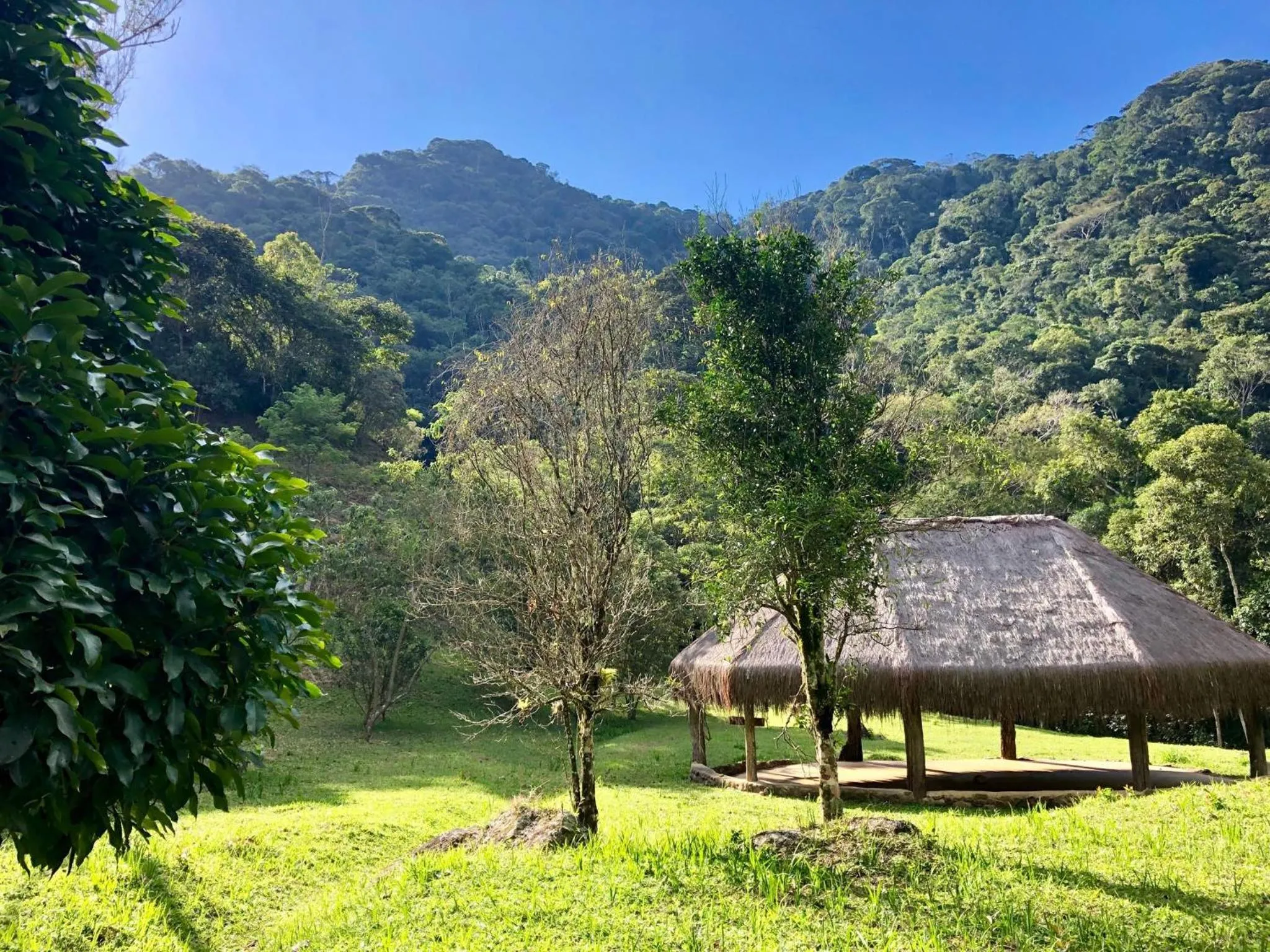 Activities in Sítio Flor das Águas