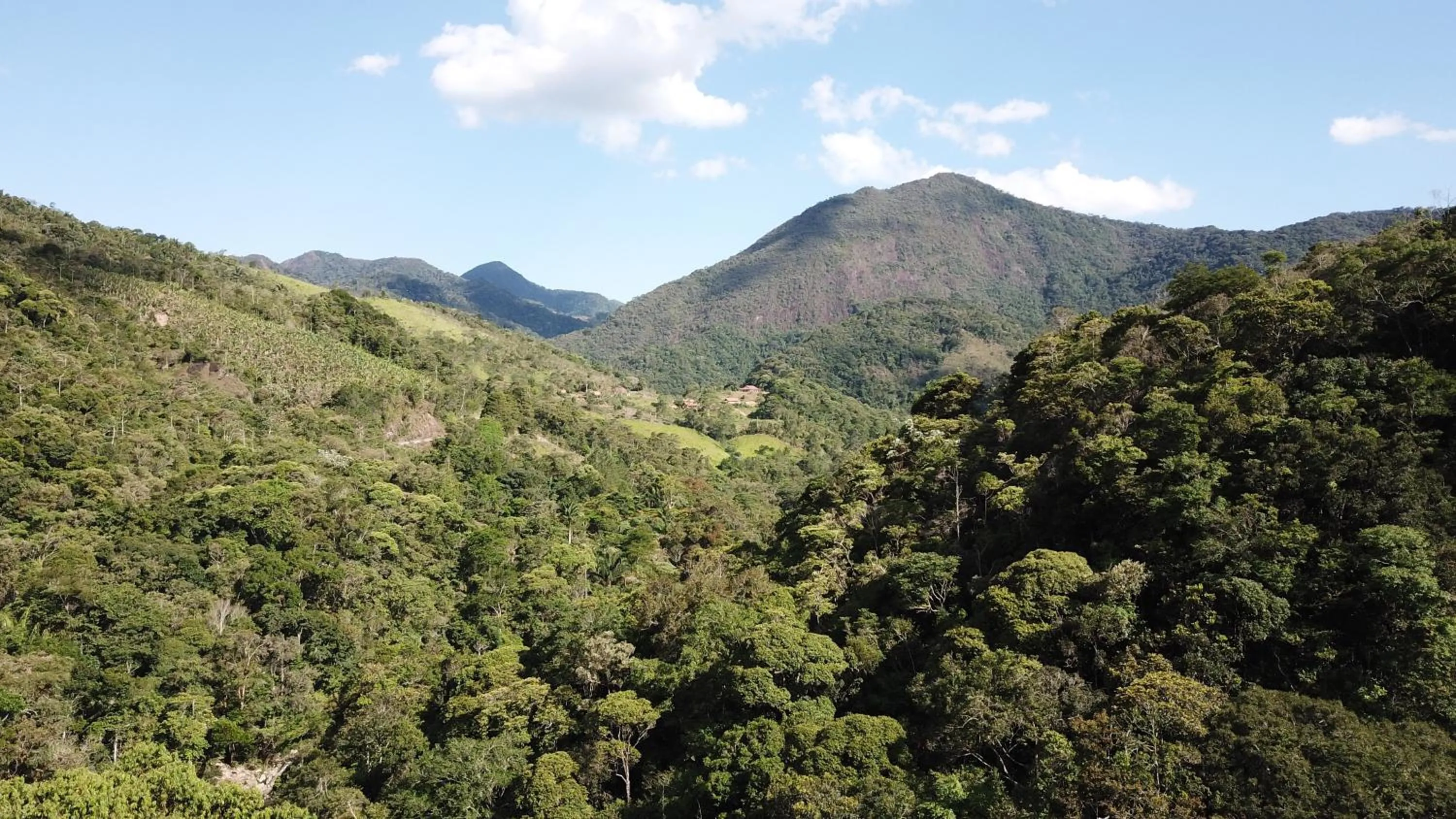 Bird's eye view in Sítio Flor das Águas