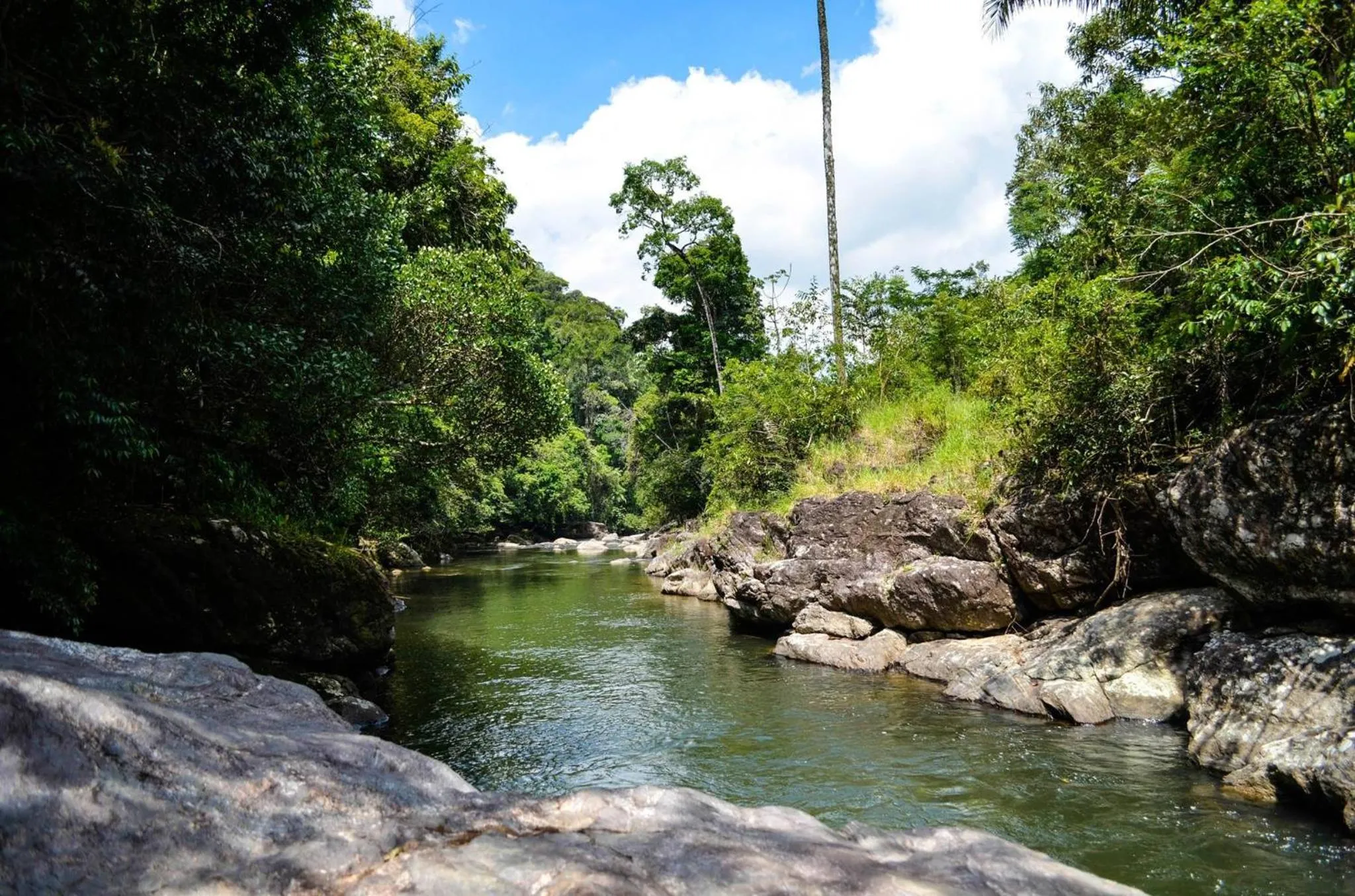 On site in Sítio Flor das Águas