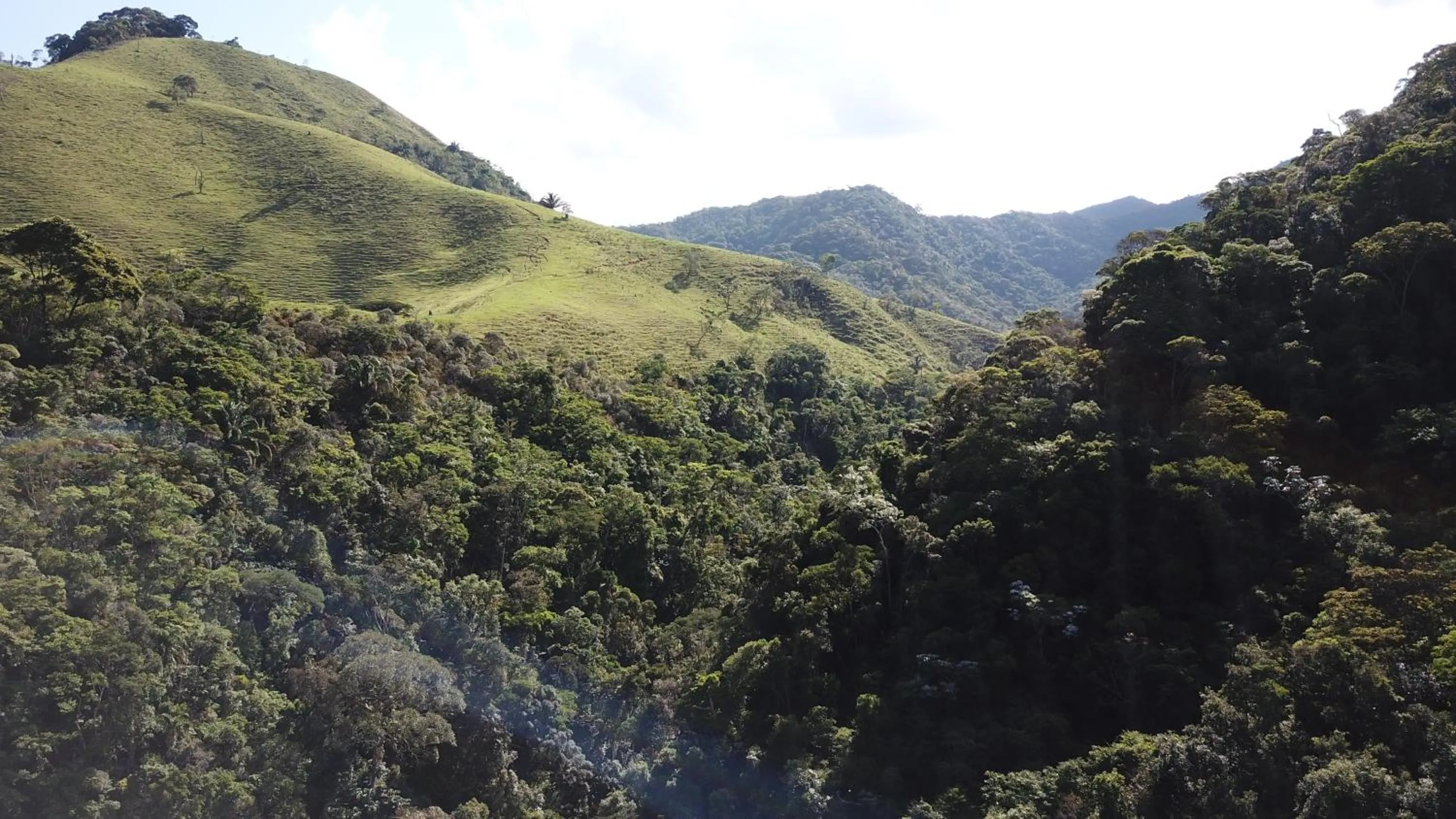 Bird's eye view in Sítio Flor das Águas
