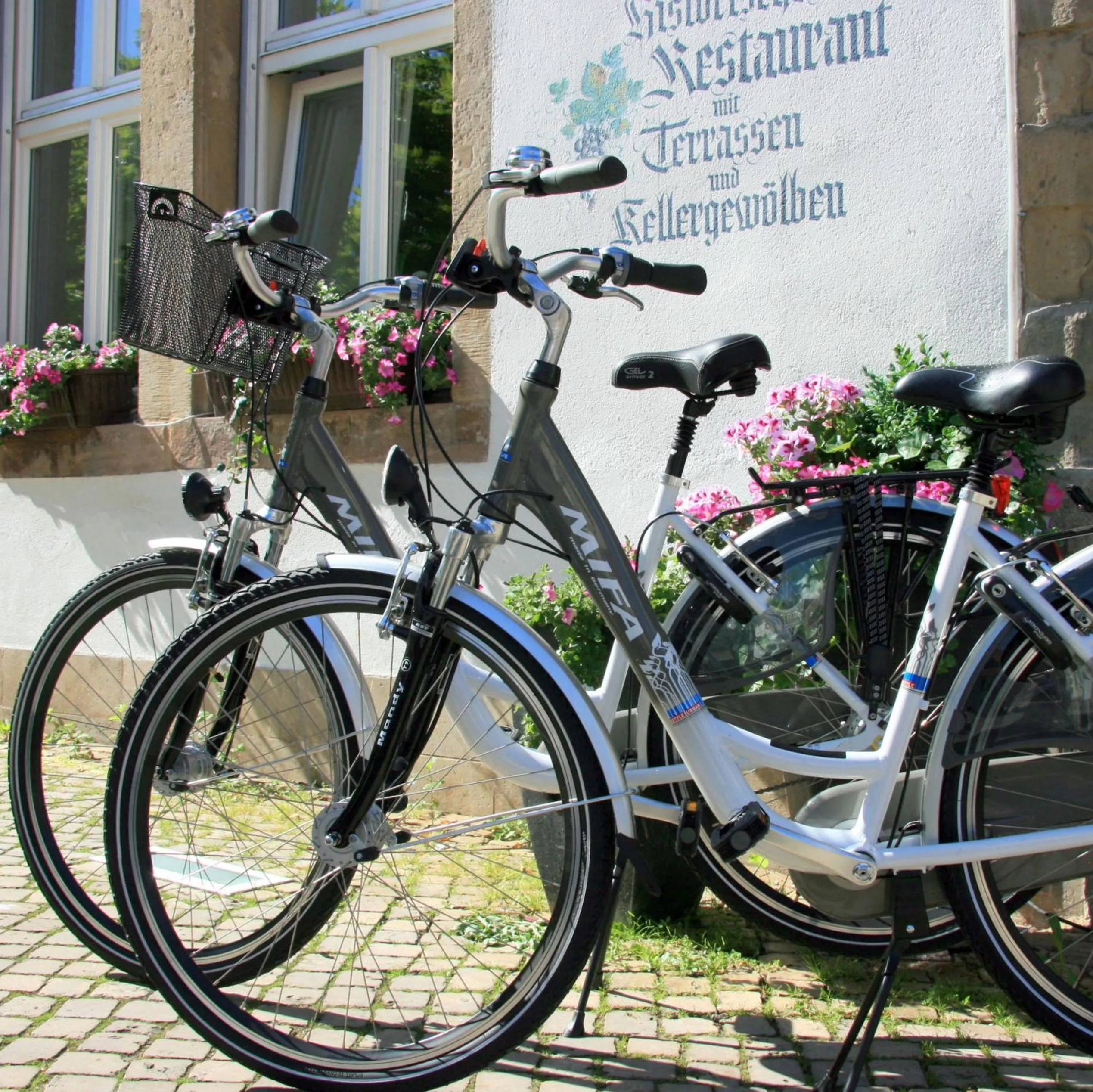 Cycling in Hotel Unstruttal