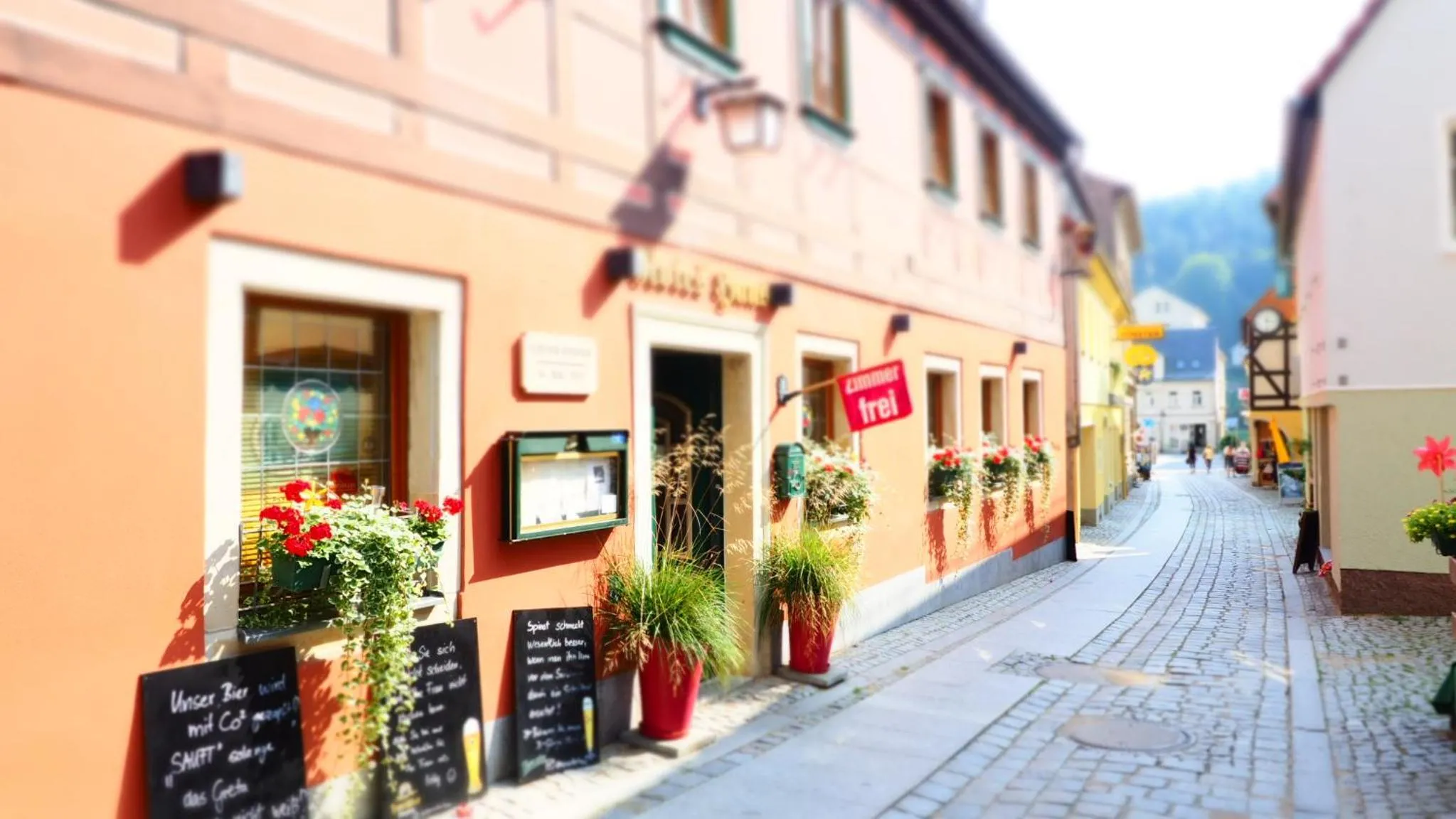 Gasthaus& Pension Zum Roten Haus