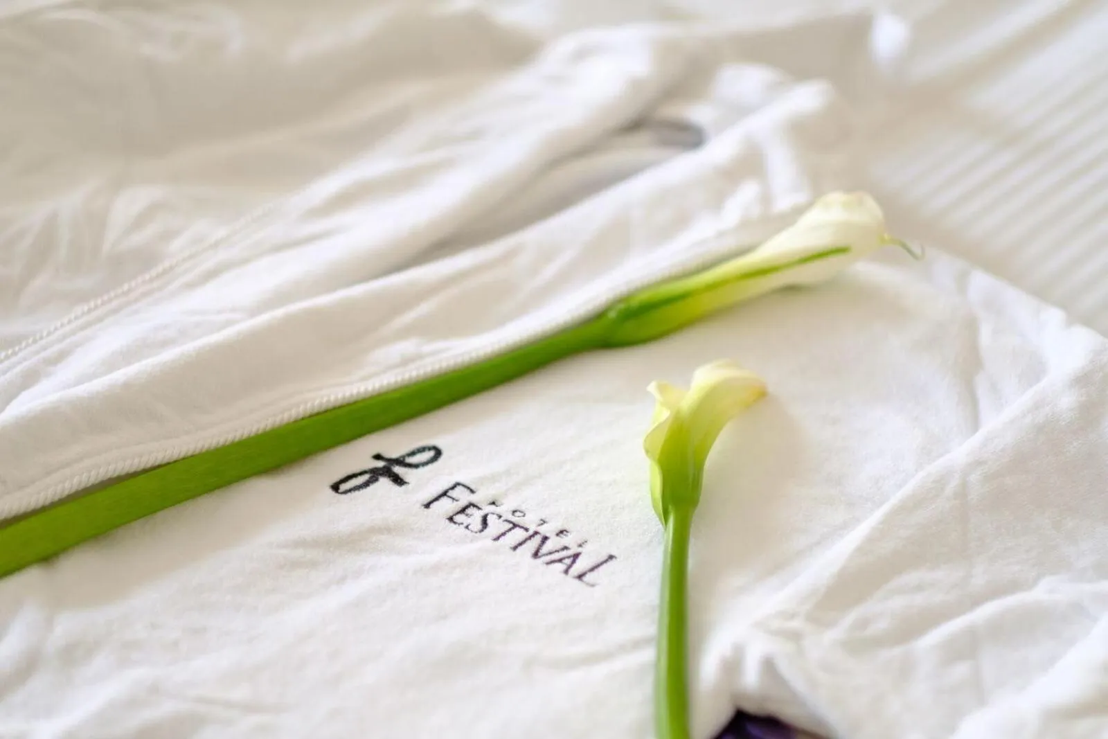 Other in Hotel Festival