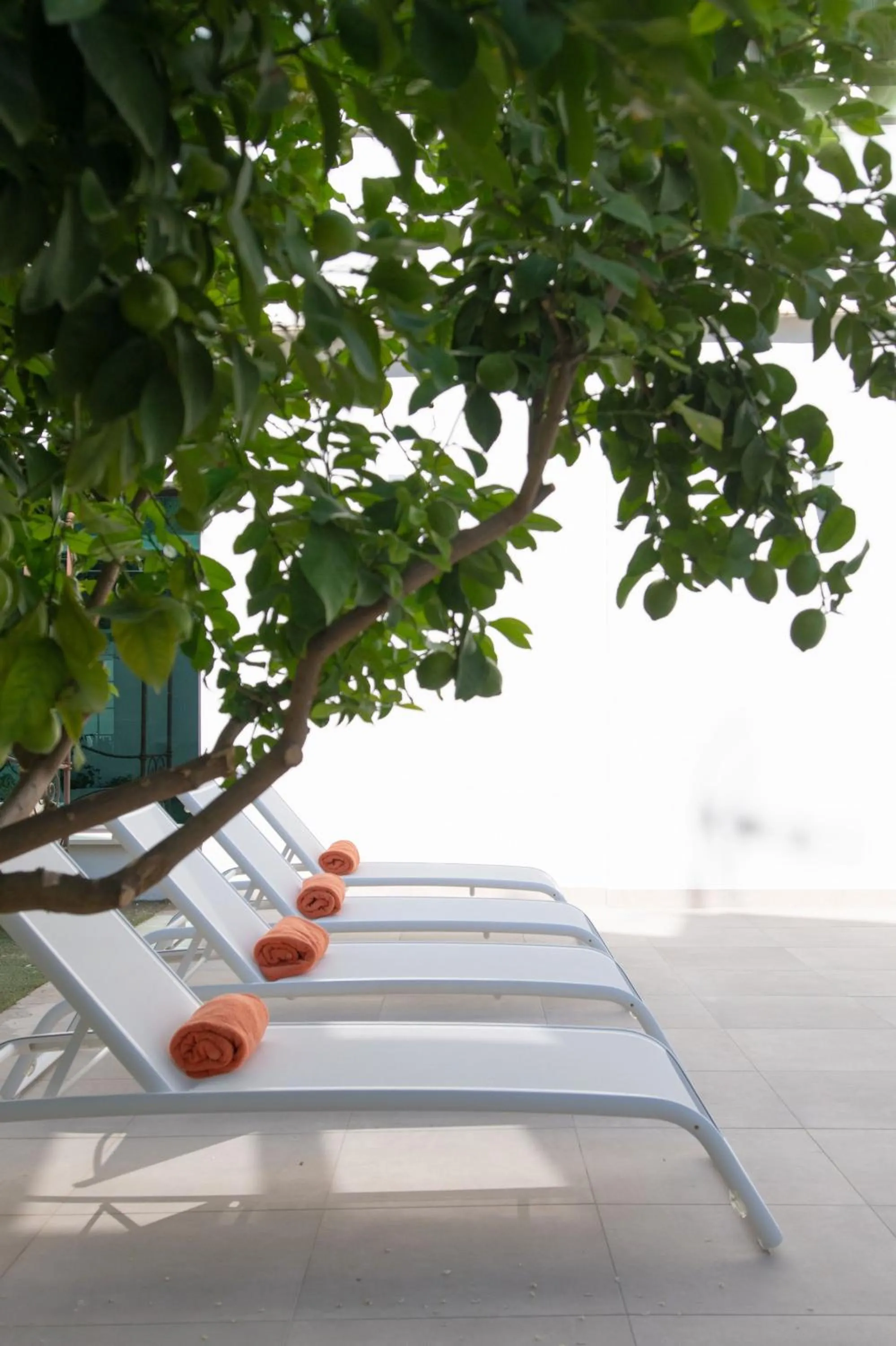 Garden in Hotel Infanta Leonor