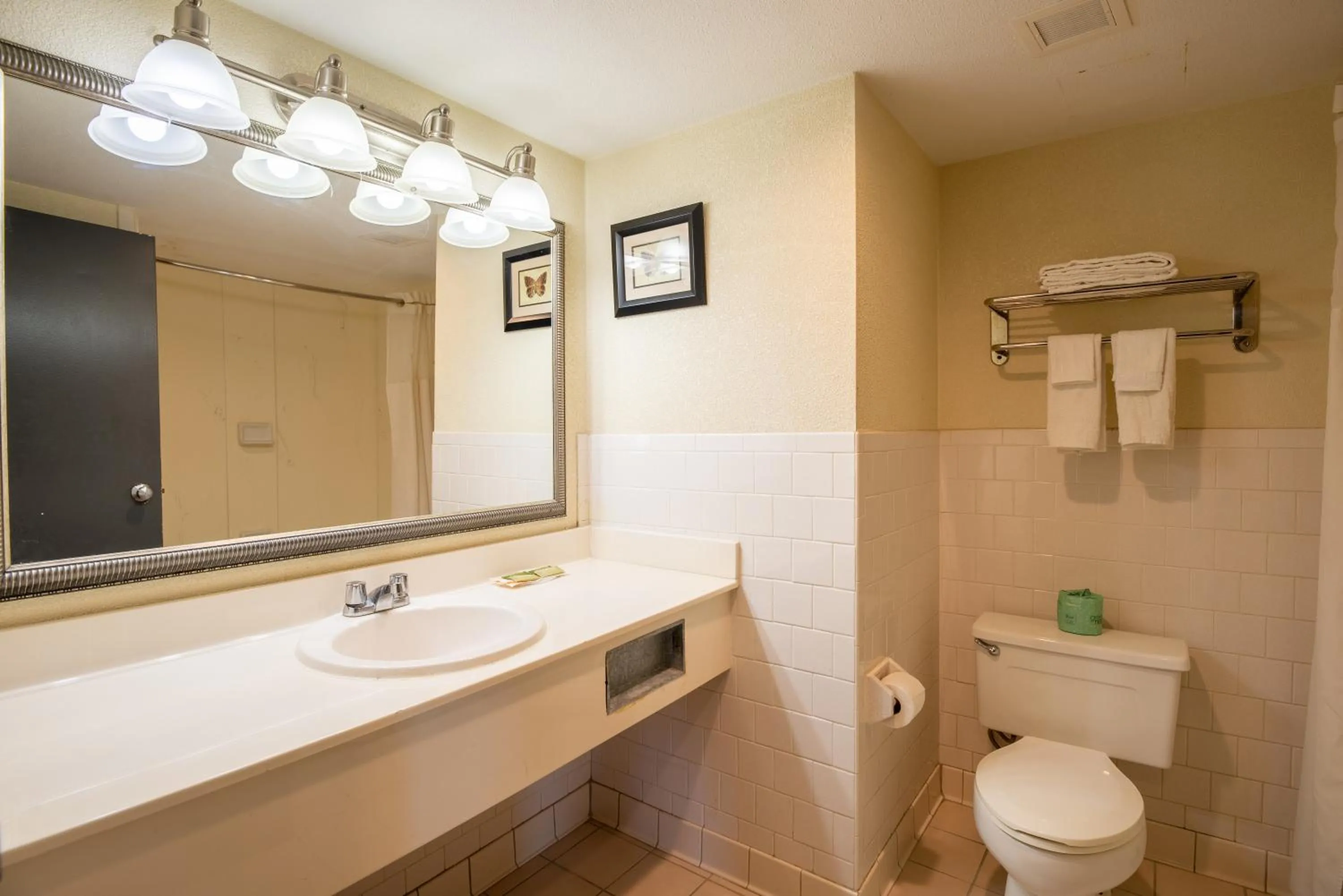 Deluxe Single Room - single occupancy in Dominion Inn and Suites