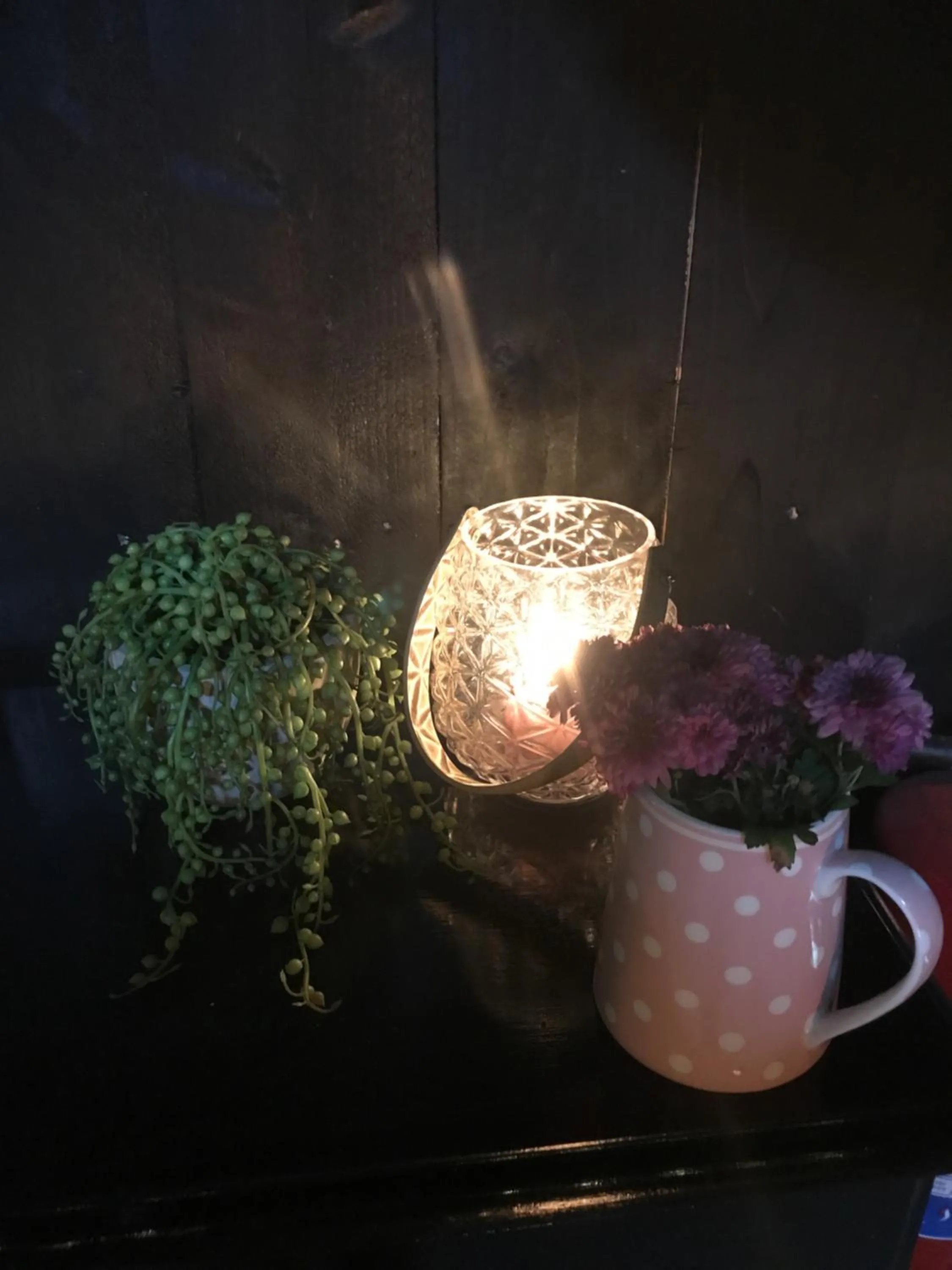 Garden in Tuftegarden