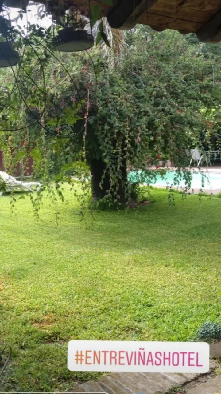 ENTRE VIÑAS ENTRE VIÑAS
