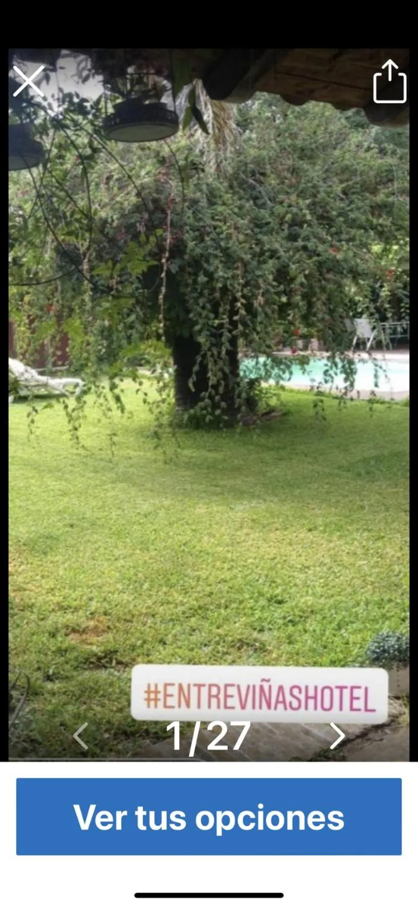 ENTRE VIÑAS