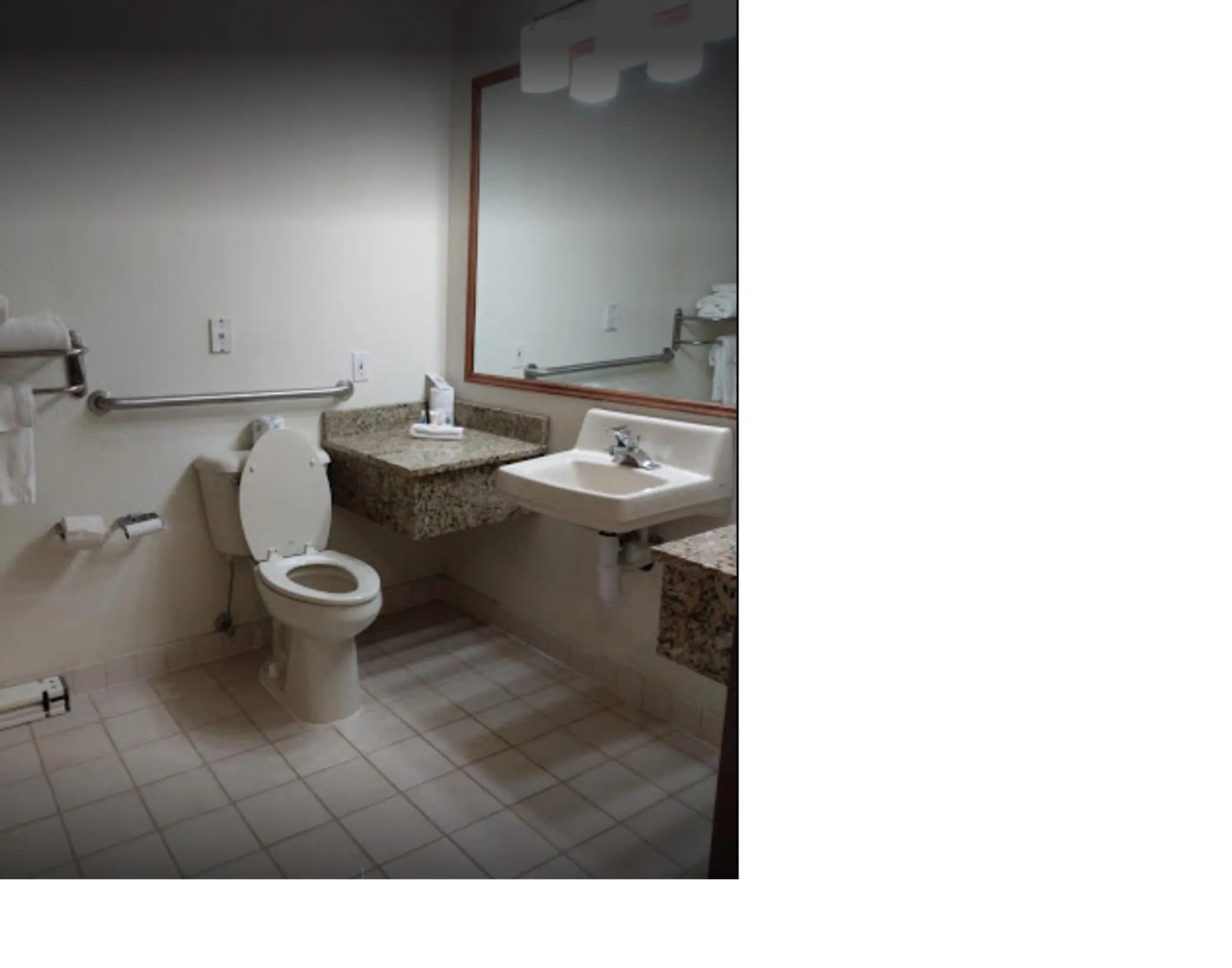Toilet in Comfort Inn & Suites Morton - Peoria