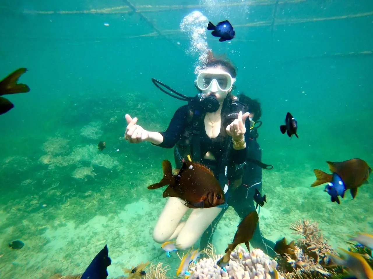 VIP in Homestay 1991