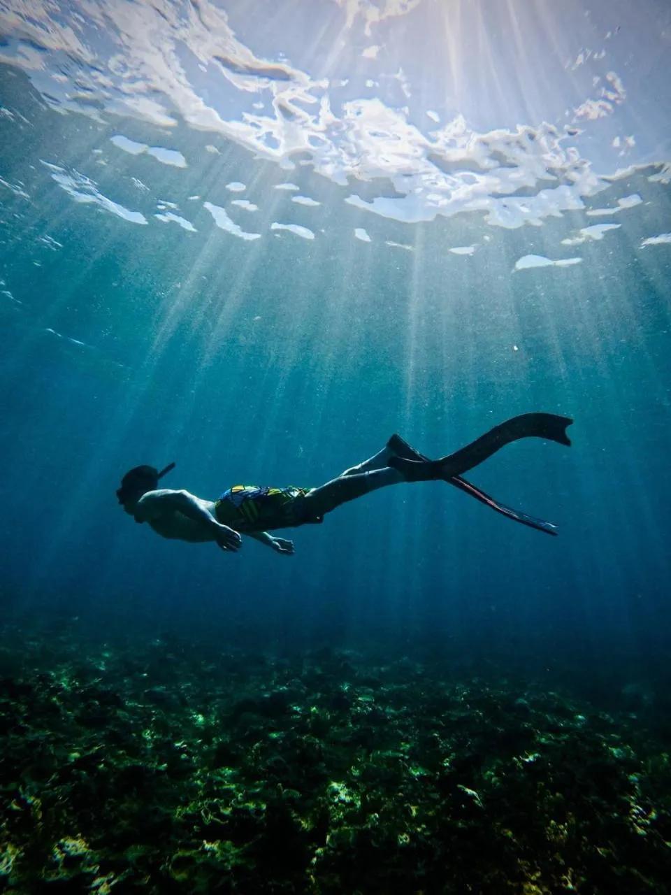 People in Homestay 1991