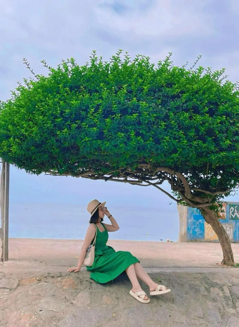 Sea view in Homestay 1991