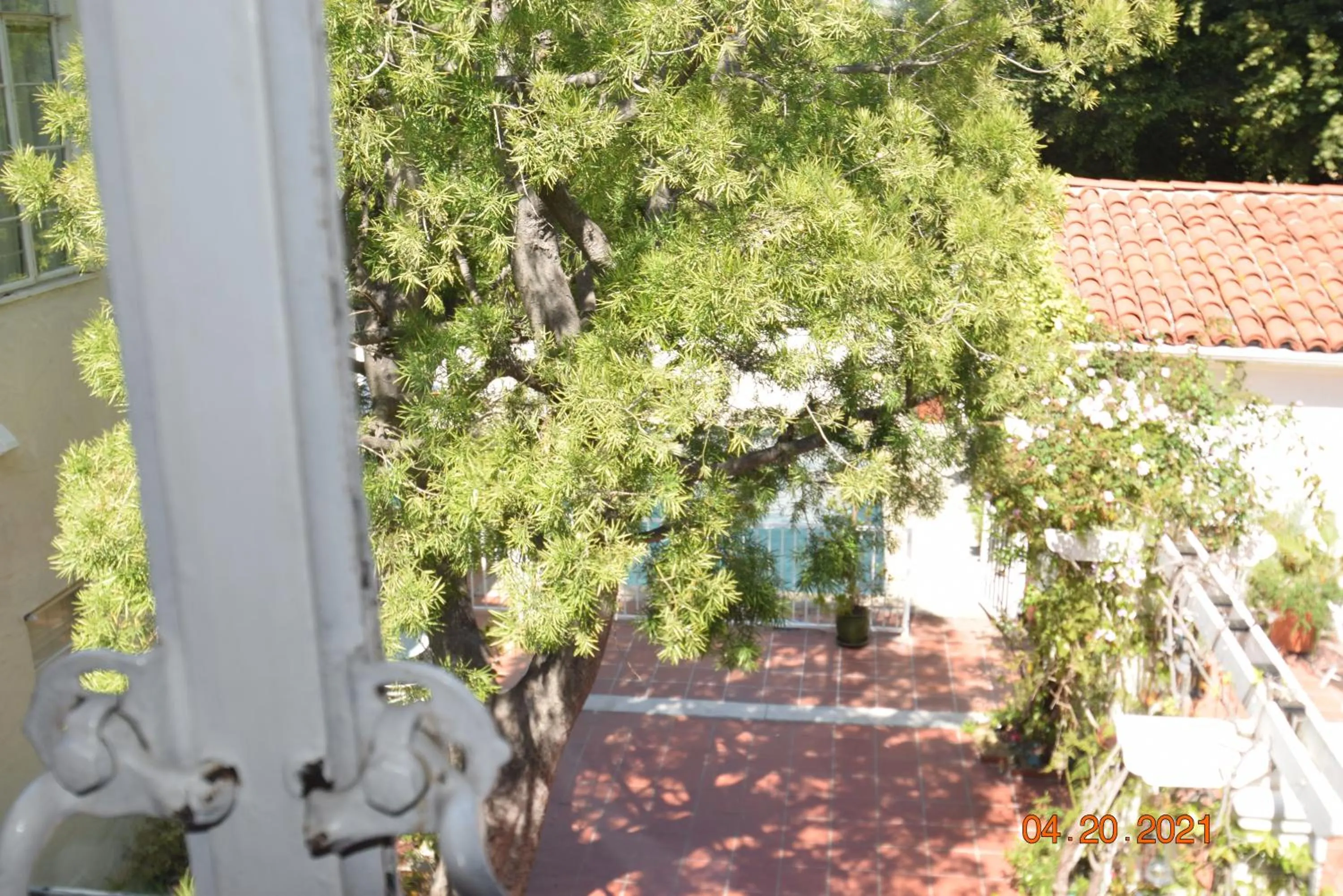 Beverly Hills Celebrity Home