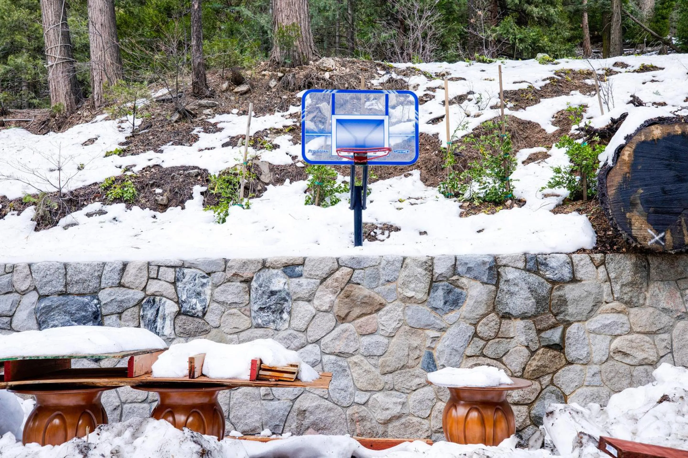 Facade/entrance in Arrowhead Tree Top Lodge