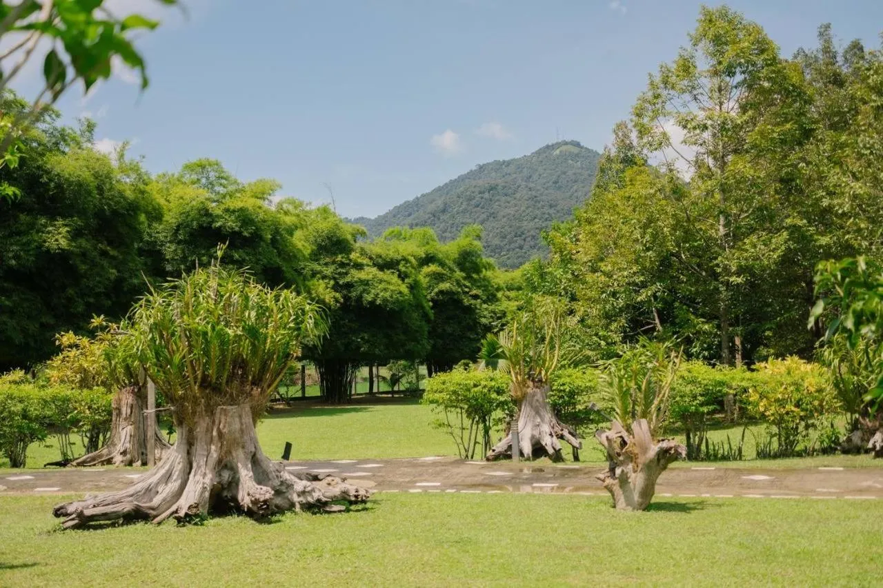 Natural landscape in Singgahsana Villa Langkawi