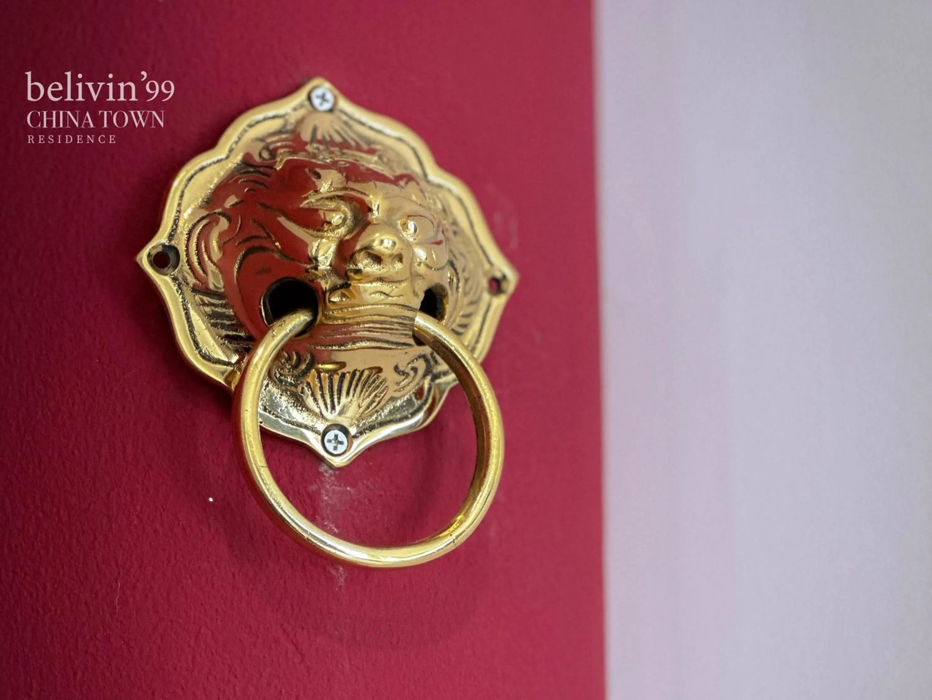 Decorative detail in Belivin99 Residence Chinatown