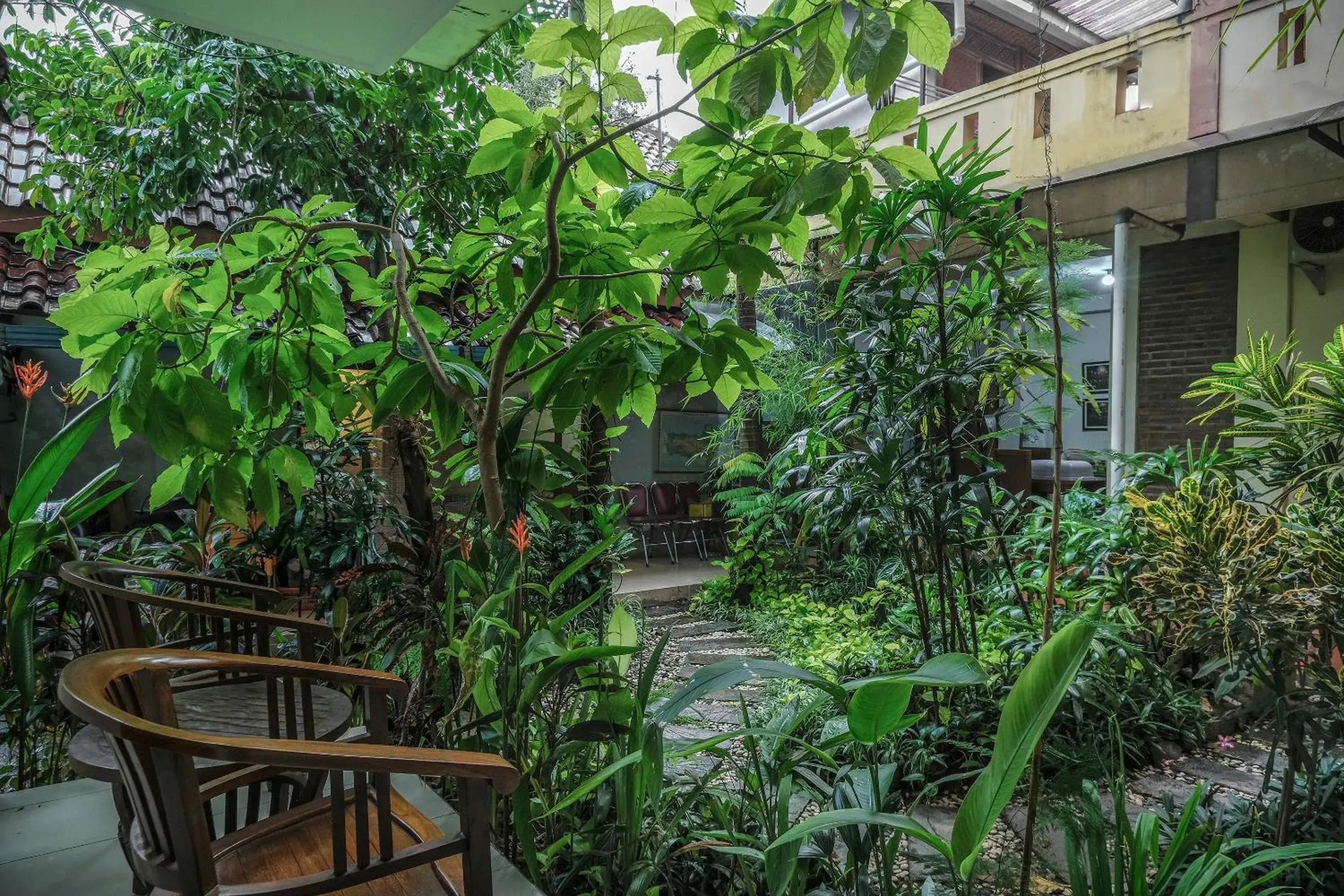 Garden in Sabana Homestay Garden in Sabana Homestay