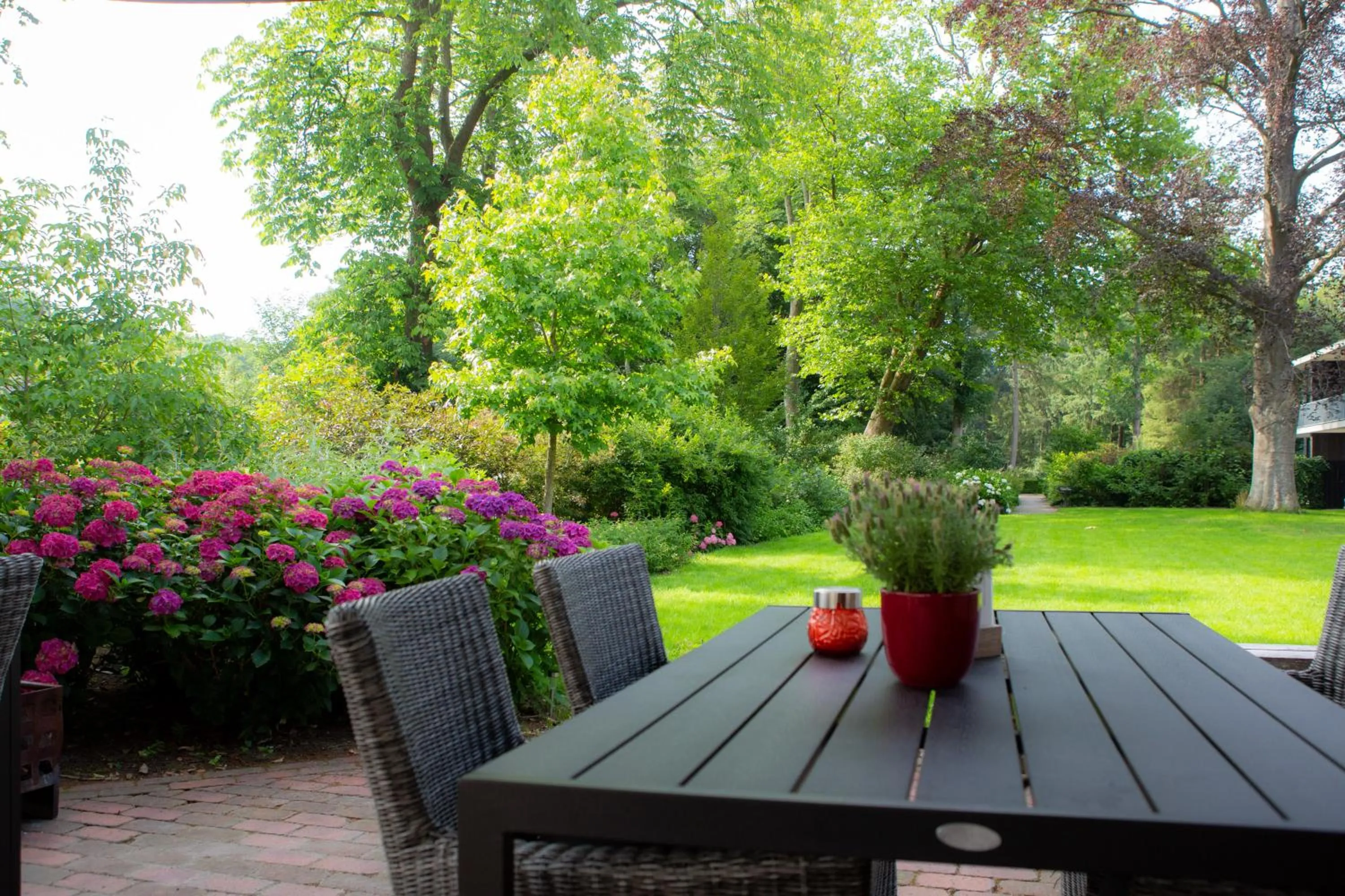 Patio in Hotel Restaurant Lunia