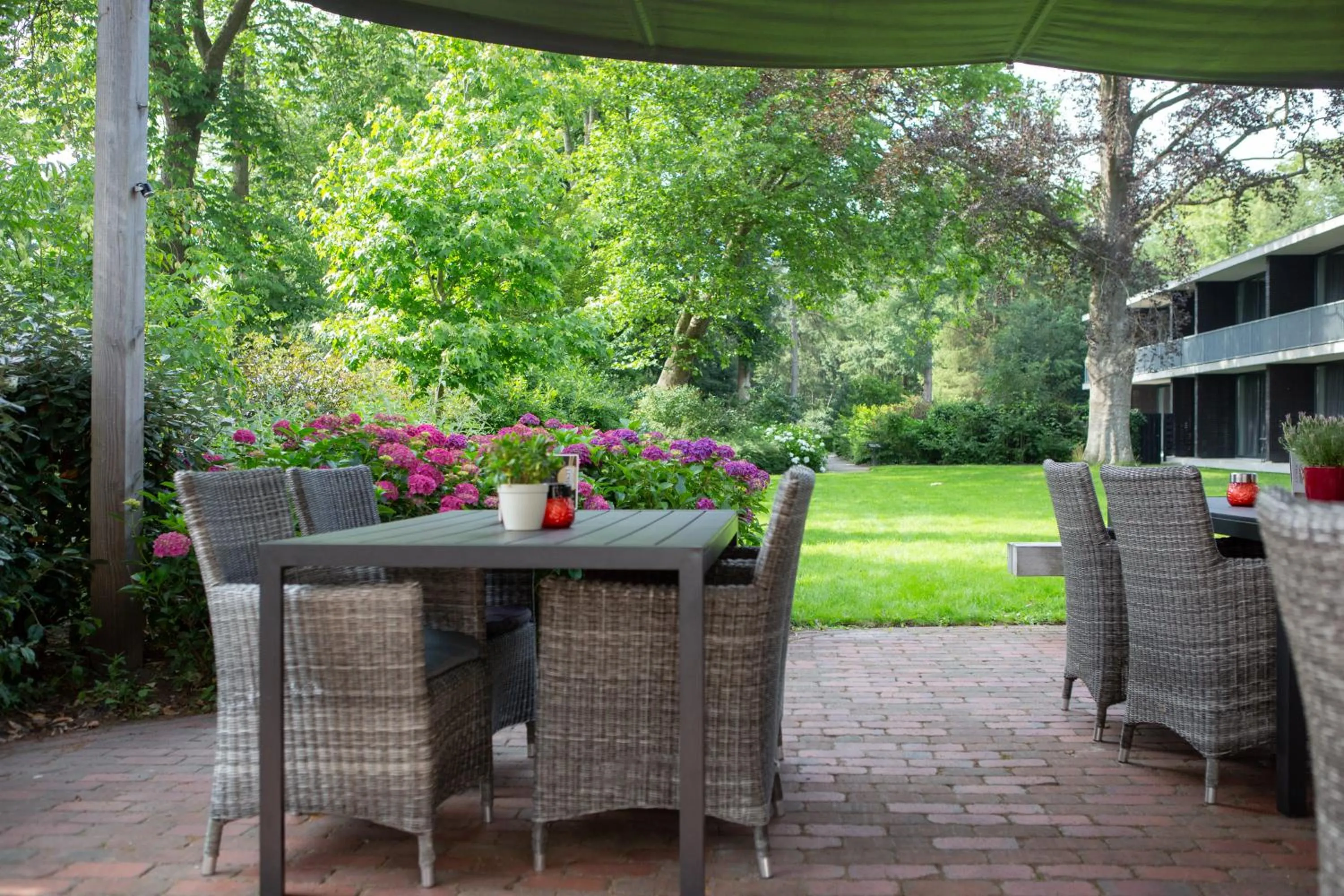 Patio in Hotel Restaurant Lunia