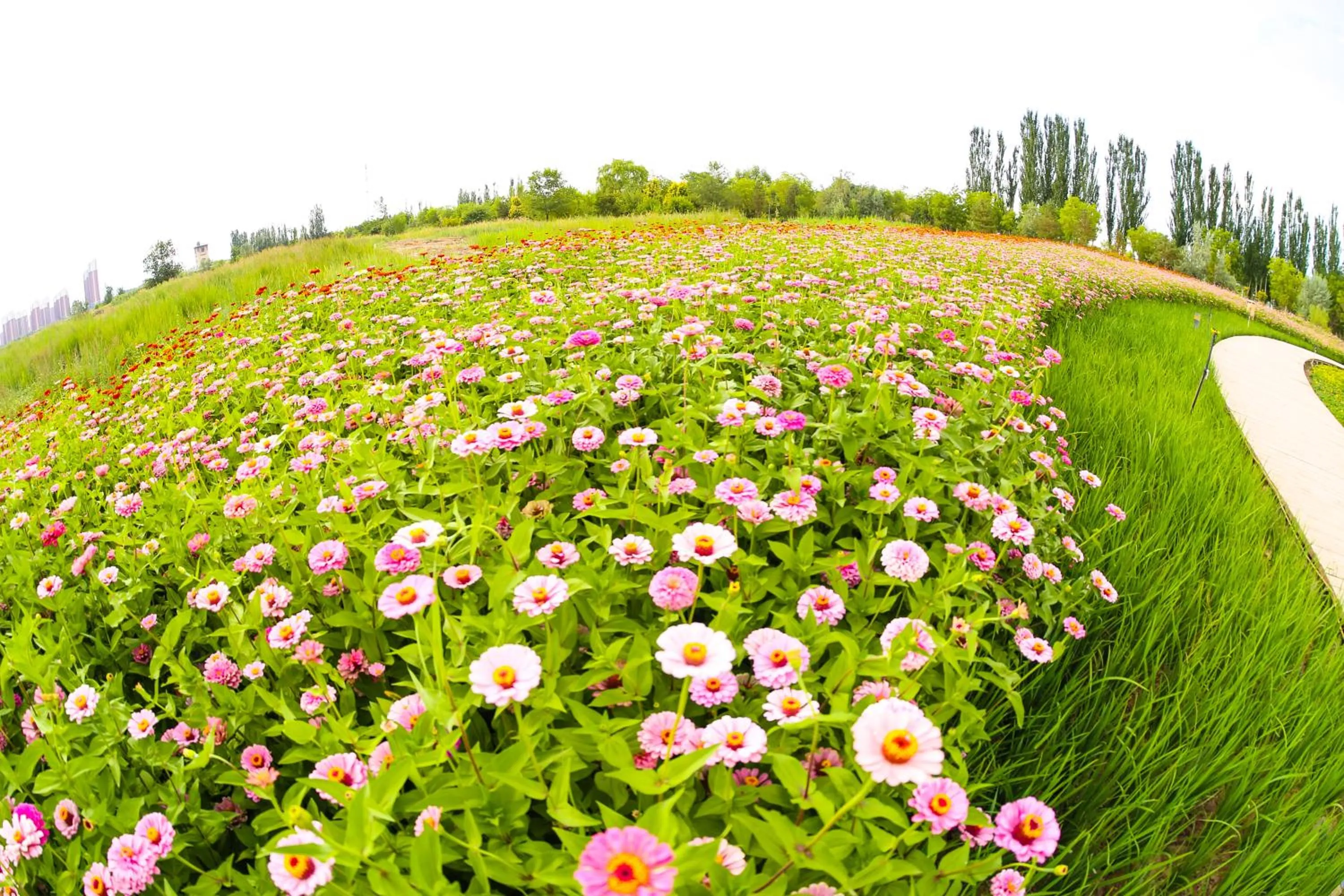 Primus Hotel Yinchuan